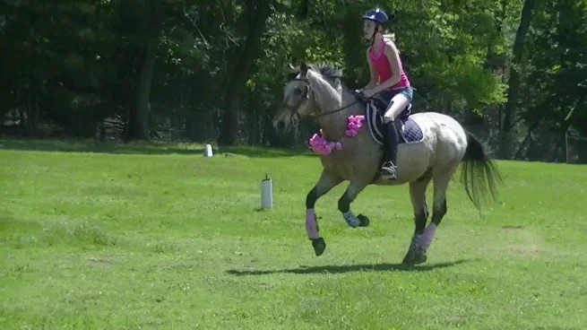 horse back riding