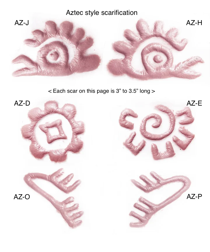 1a6d8d39f557712c38e5d7be60d3d50b.jpg