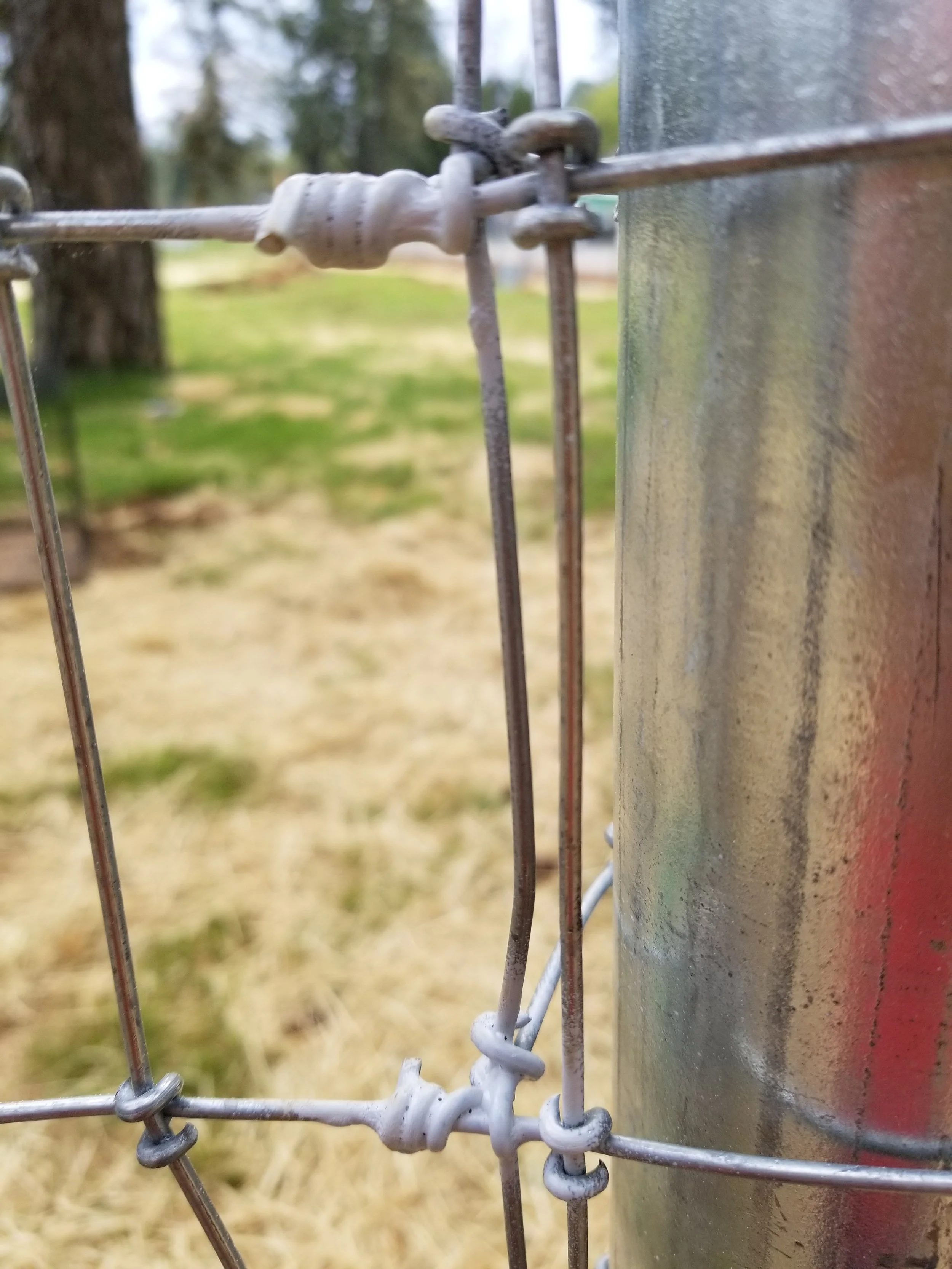20180411_161429.jpg