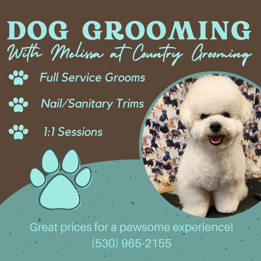 Are you looking for a #pawsome grooming experience?  We have Melissa on our TEAM, and our patrons are raving about her skills--- with over 20 years experience Melissa understands that not all companions are ready to groom with a &quot;stranger,&quot;
