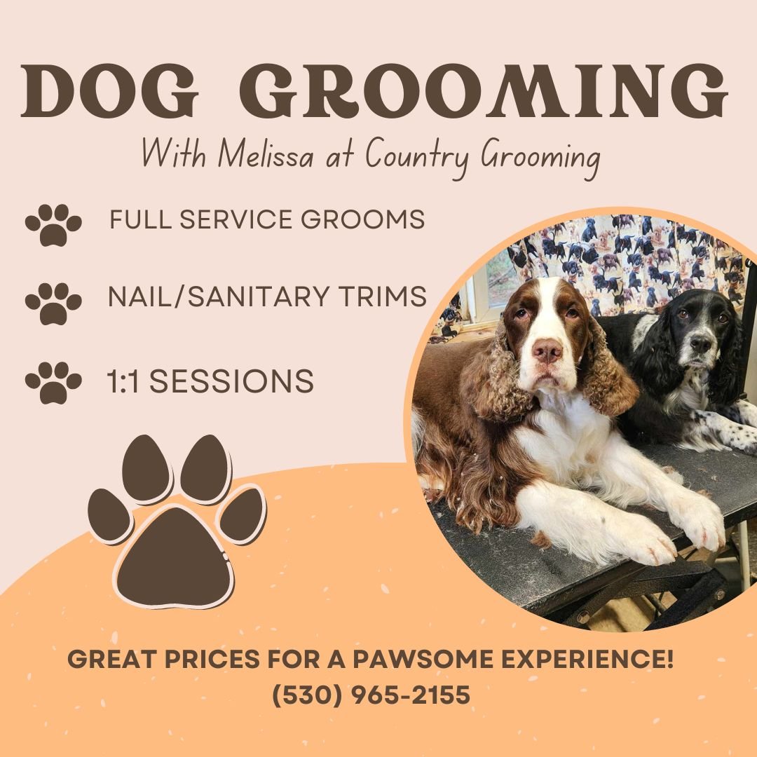 Are you looking for a #pawsome grooming experience?  We have Melissa on our TEAM, and our patrons are raving about her skills--- with over 20 years experience Melissa understands that not all companions are ready to groom with a &quot;stranger,&quot;