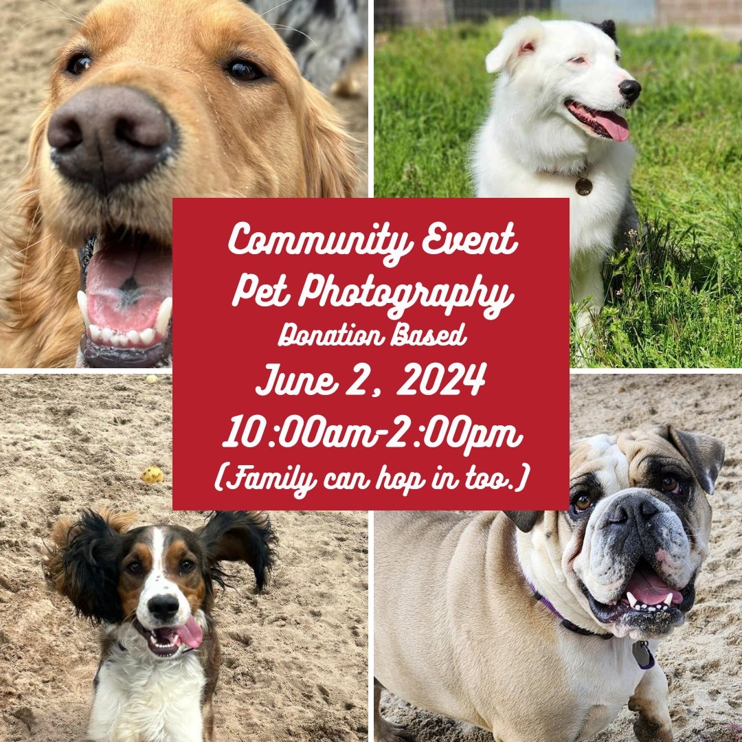Are you looking for something fun to do?
We are hosting a Community Event. 
Come and join us for this #pawsome time. 
Two AMAZING professional photographers will be capturing your special moment. 
When: June 2, 2024 10:00am-2:00pm
Where: PAWS'itive P