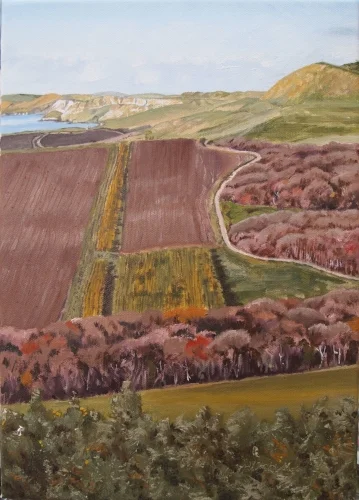 Across South Gwyle, near Encombe (SOLD)