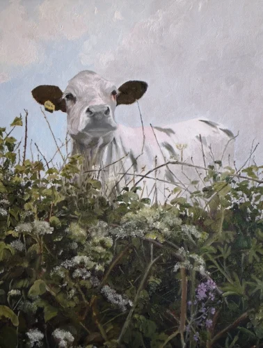 Young Tom: above the Studland Road (SOLD)