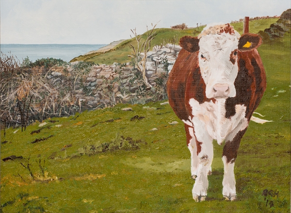 Above Anvil Point (SOLD)