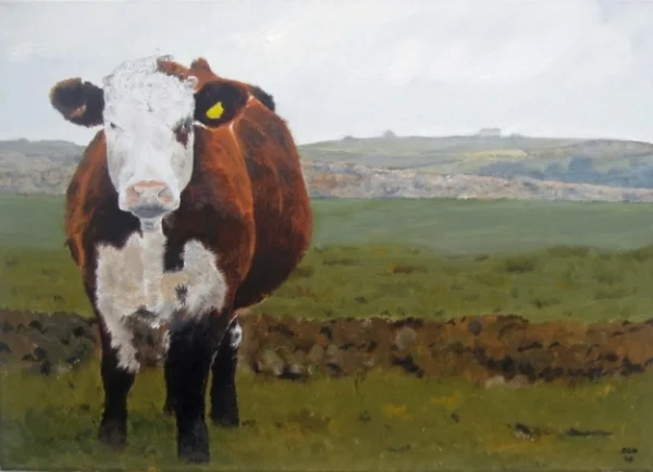 St Aldhelm's Head (SOLD)