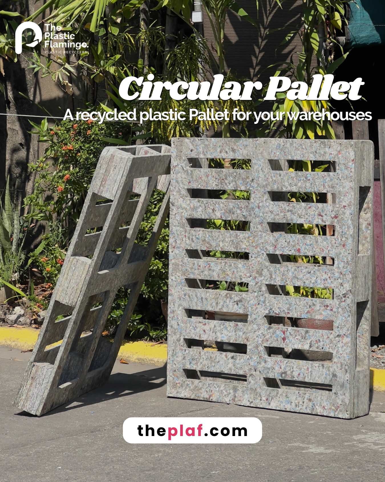 Circular Pallet : inspired by Filipino Resilience, created for a stronger and greener future