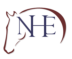 Rhode Island Equestrian Training & Boarding | Nora Harris Equestrian