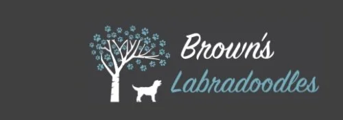 Brown’s Labradoodles