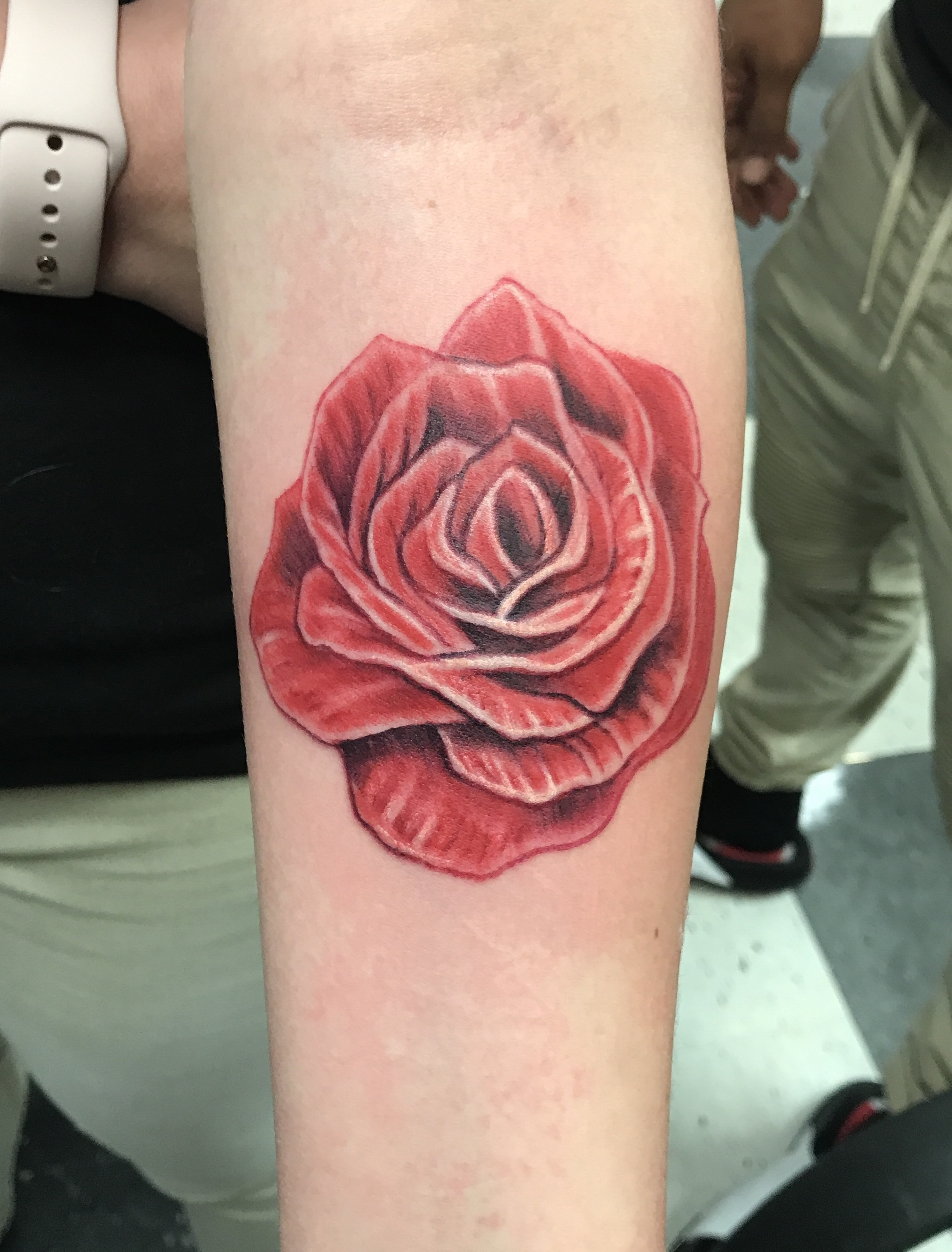 tattoo rose.jpg