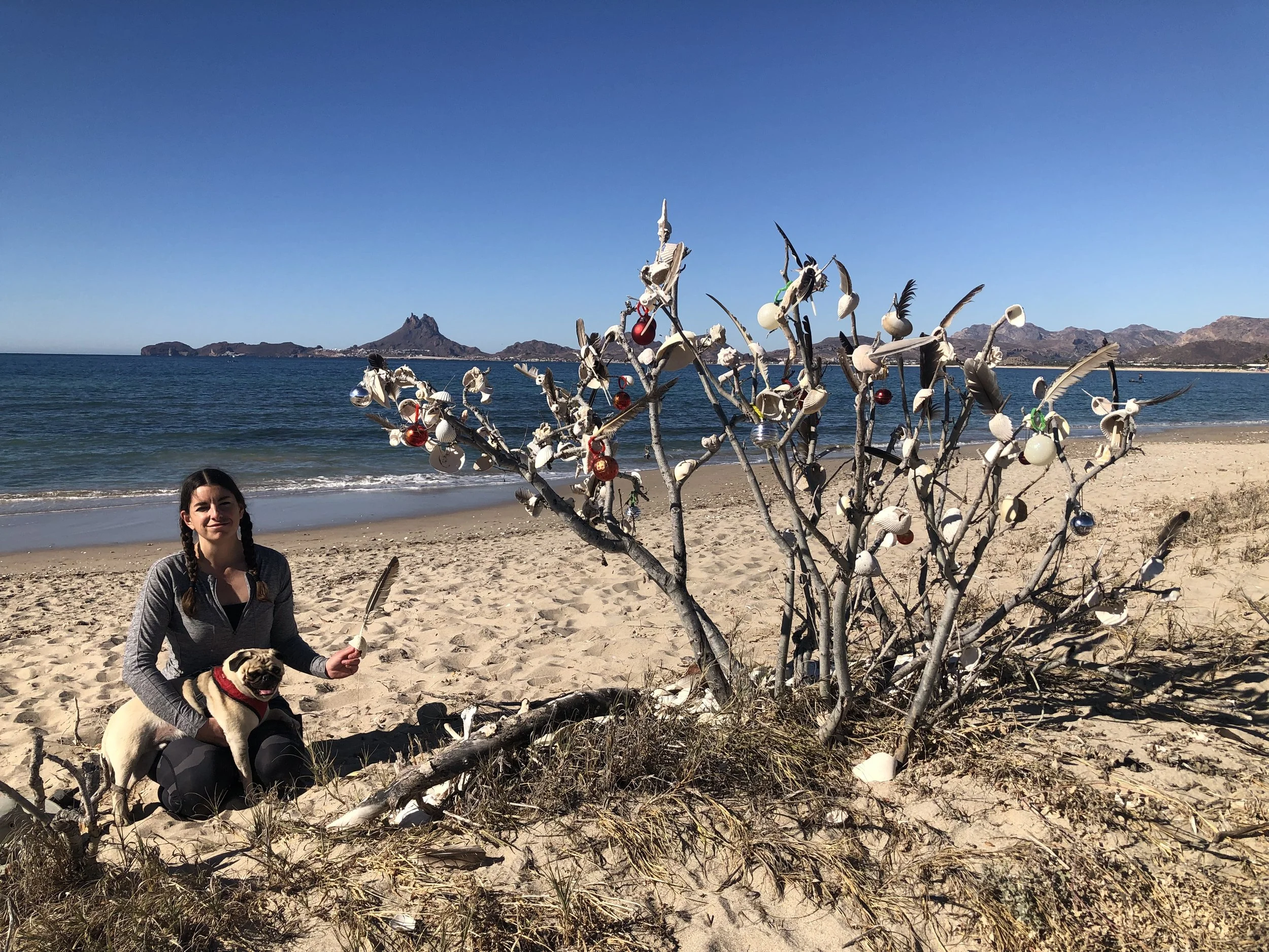 Higher Frequency Sacred Circle