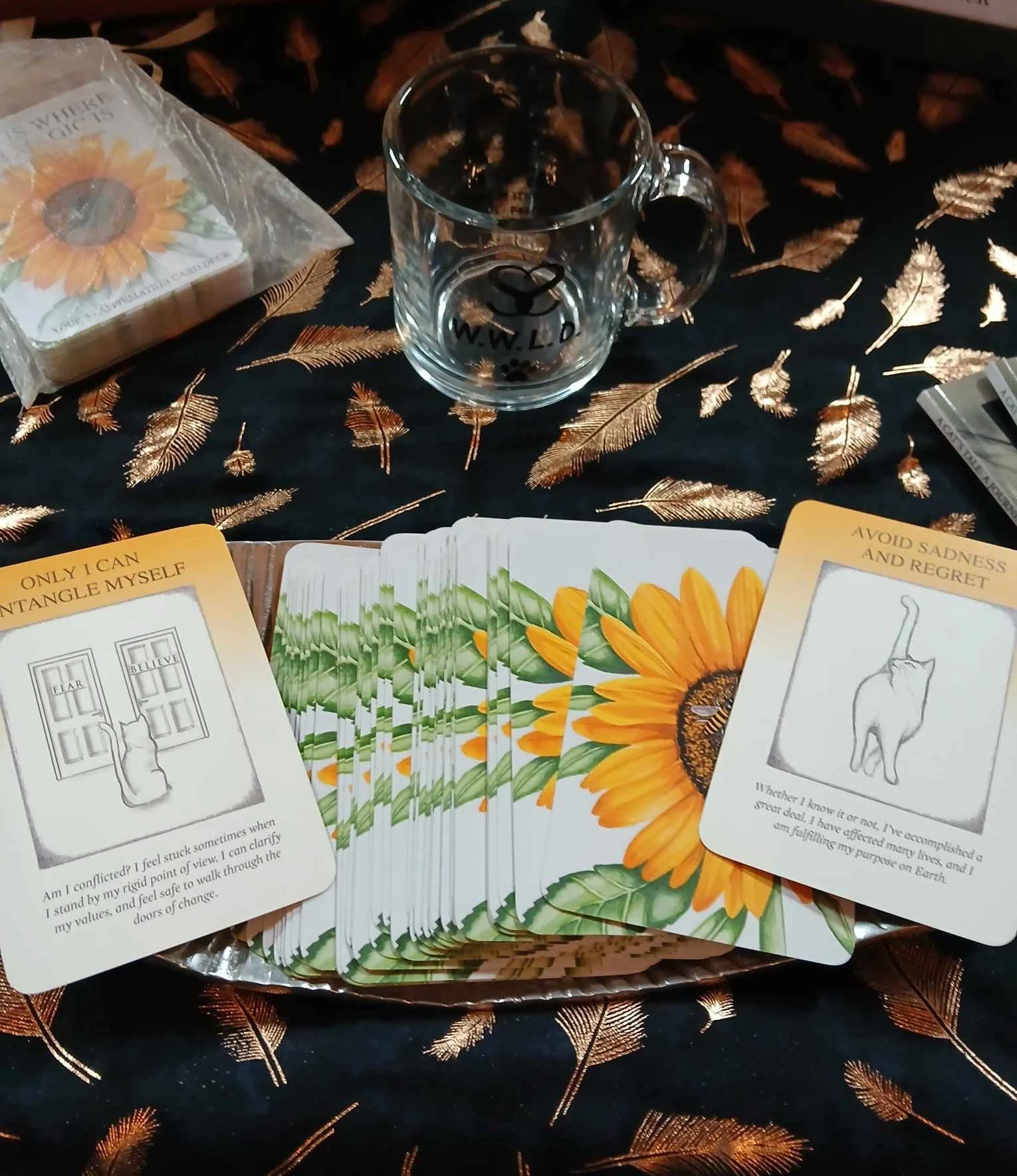 affirmation spread.jpg