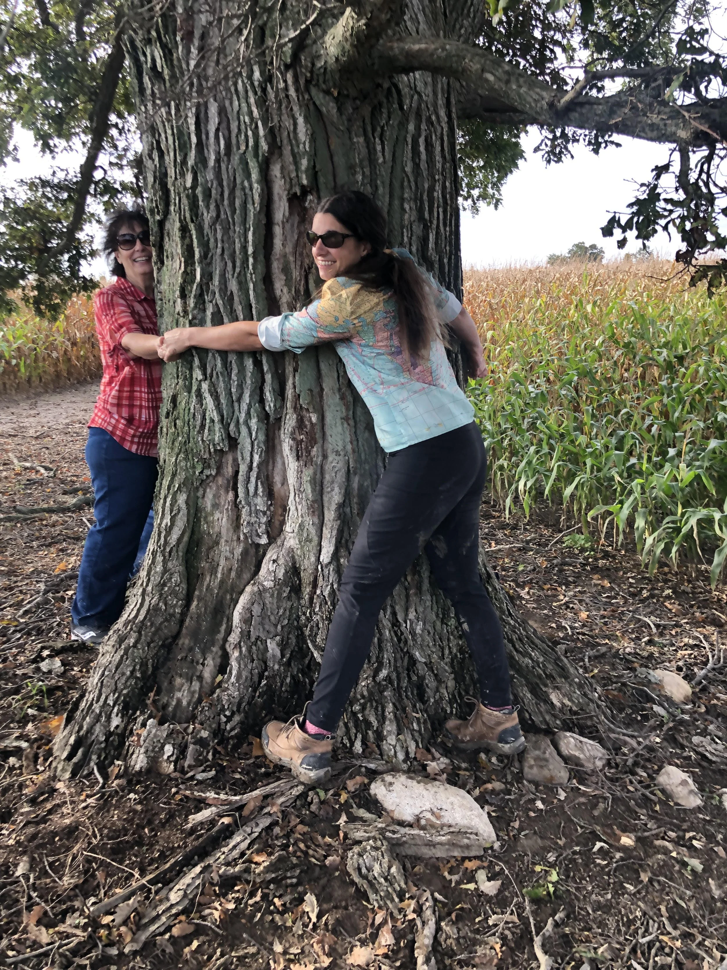 Rooted Relationships: It Begins with You