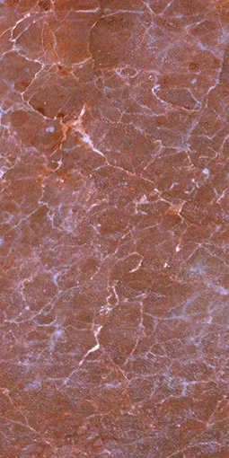 Brown Tricop