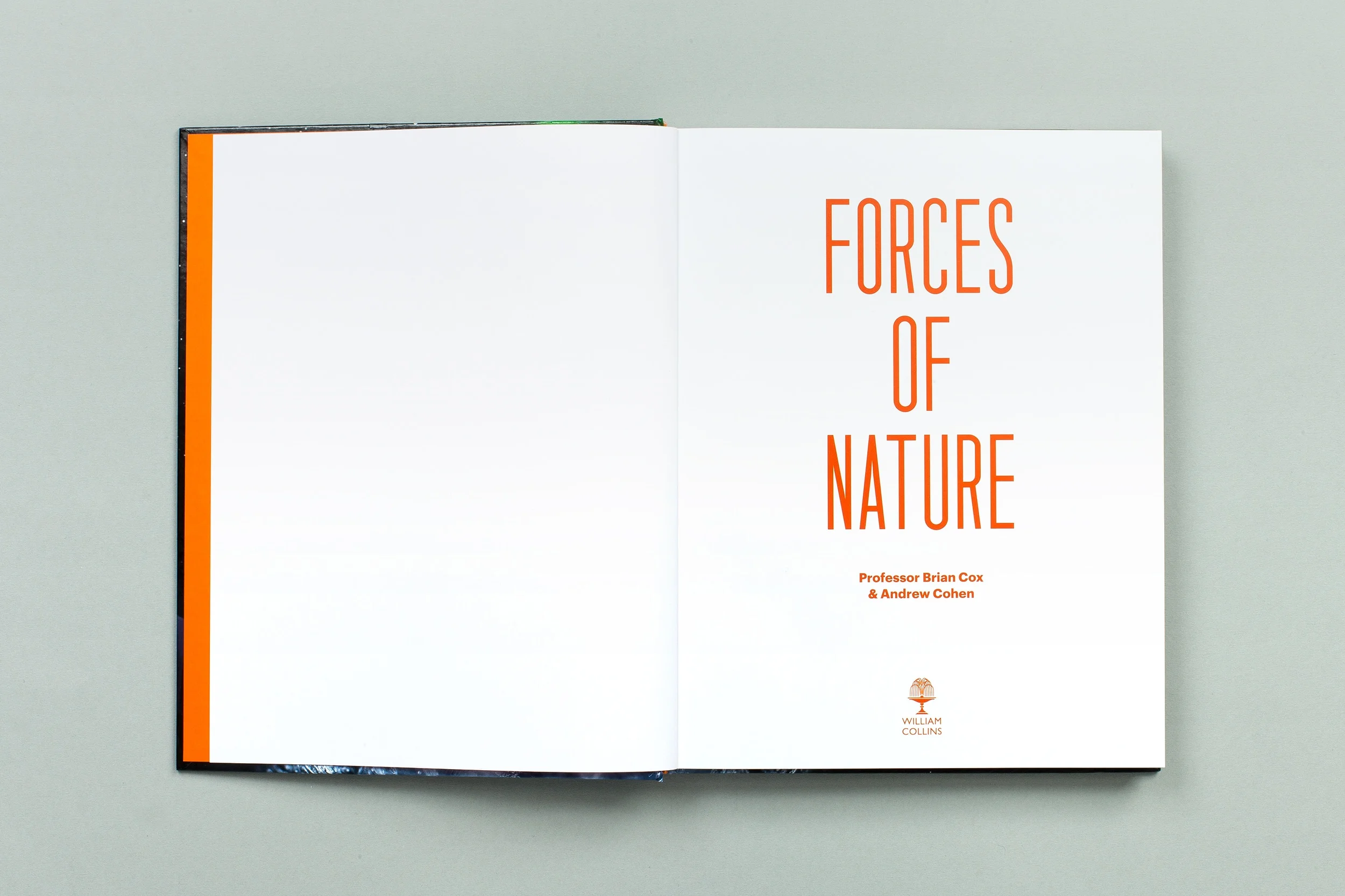 Forces_01_title.jpg
