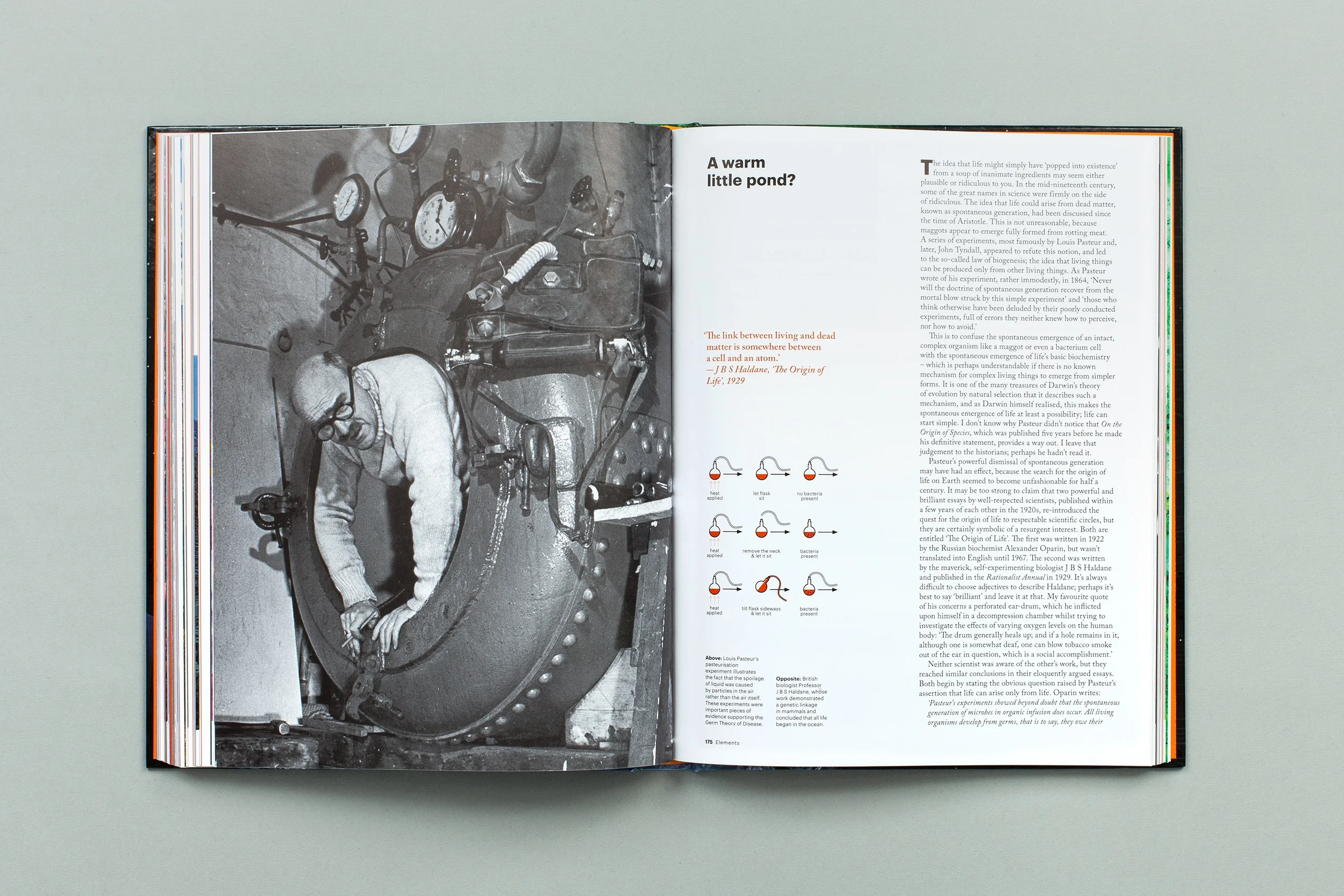 Forces_13_inside174.jpg