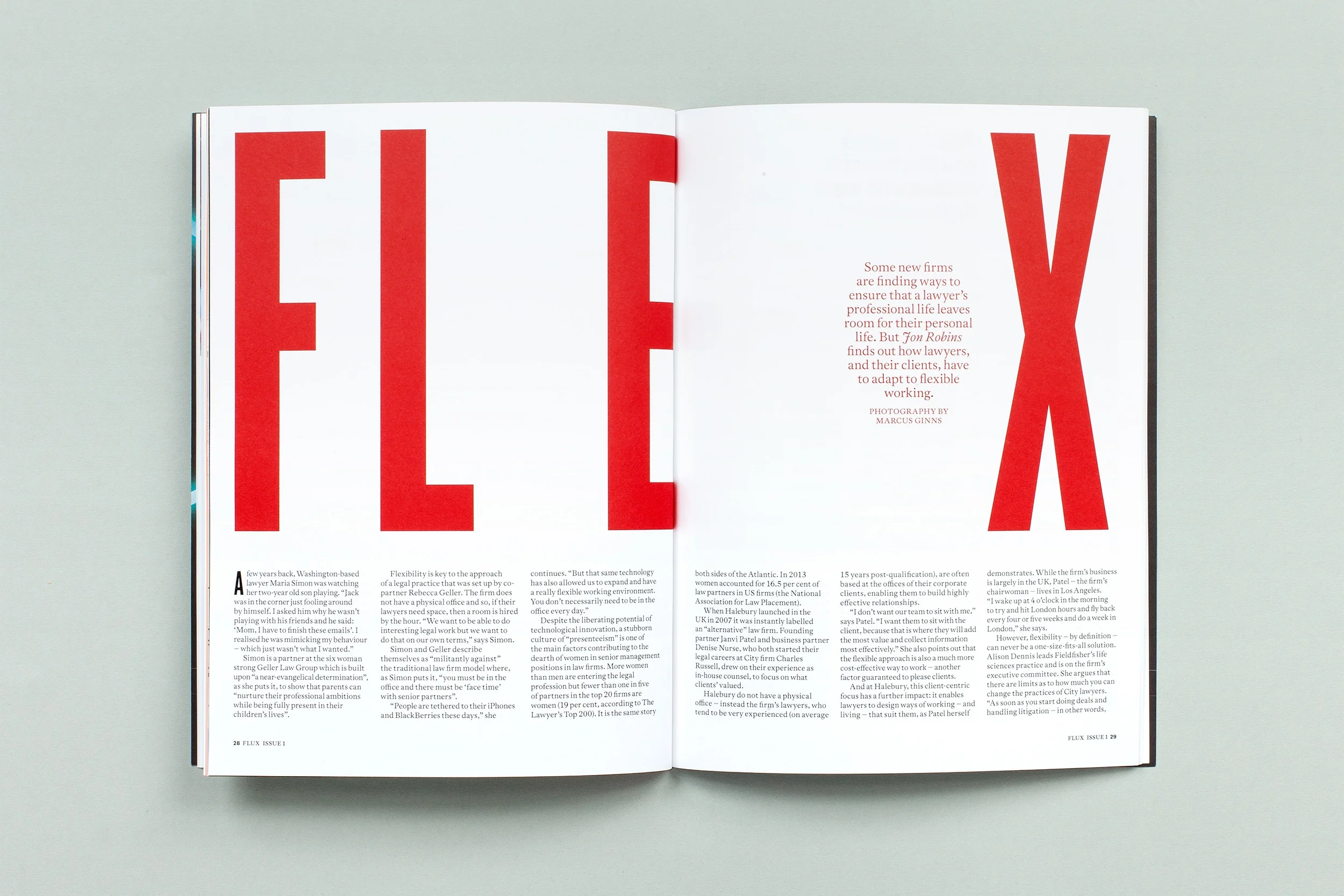 Flux_06_inside28.jpg
