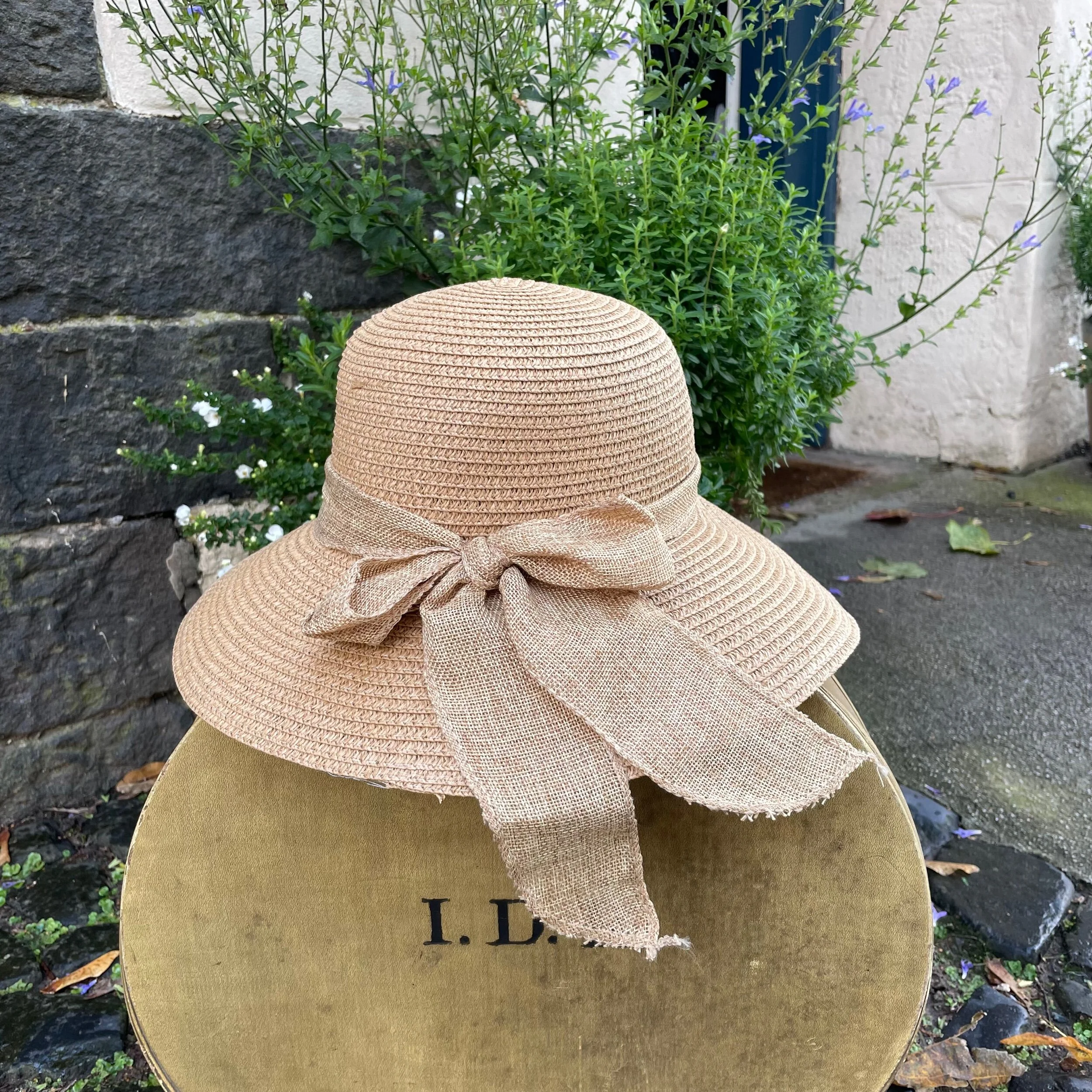 1C93BB22-3E65-49E2-974C-5545839E7FB9