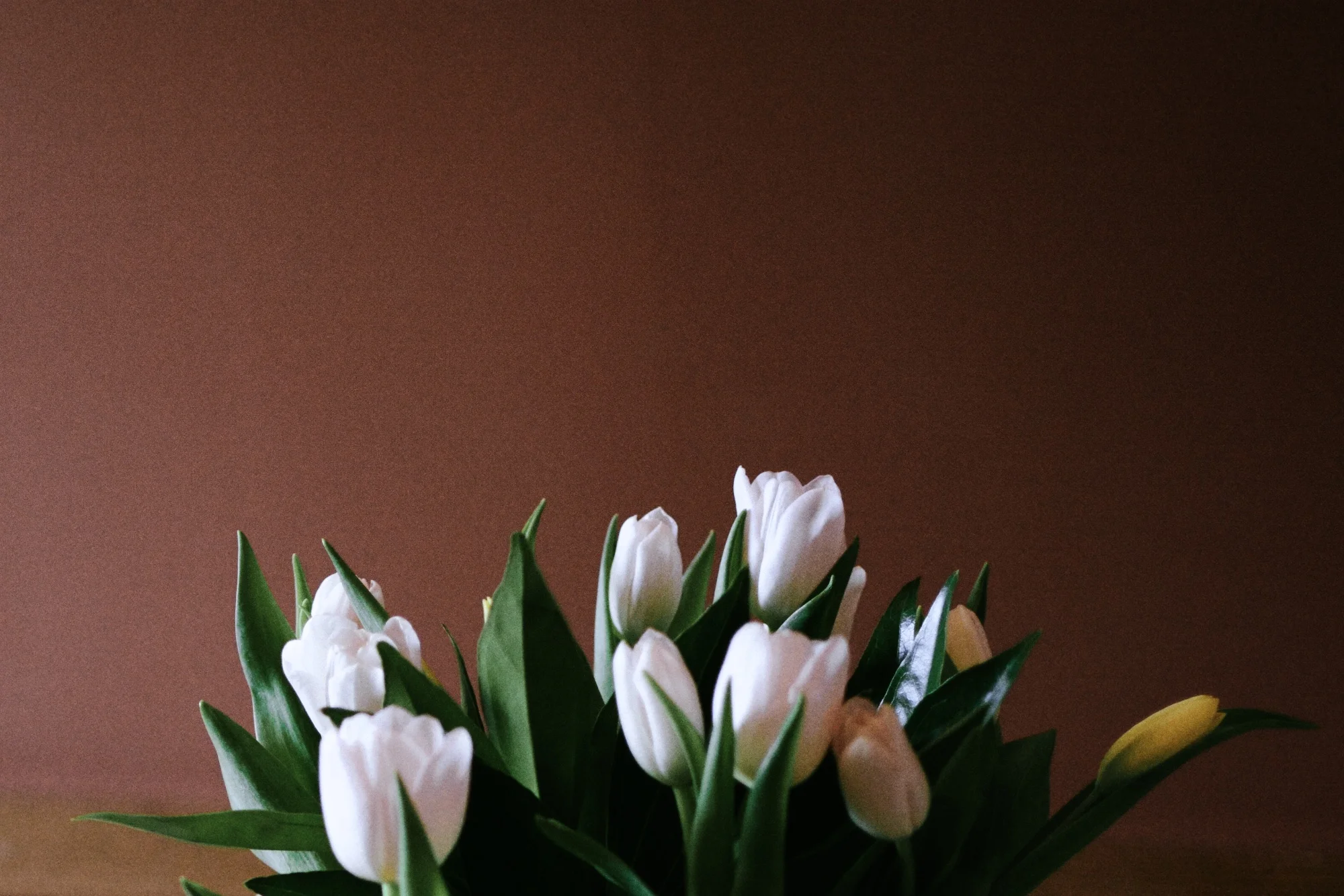 Easter-flower.jpg
