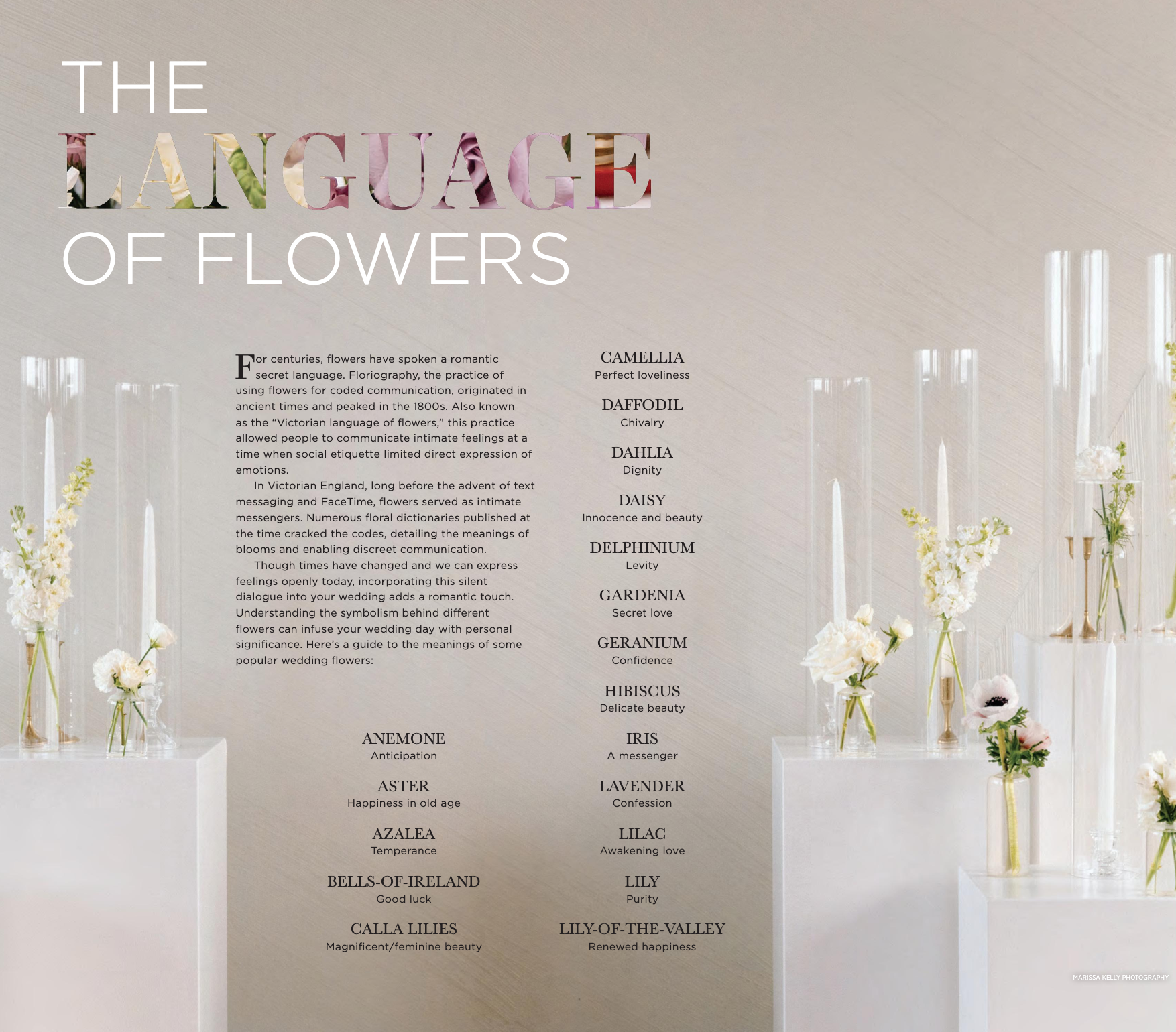 LANGUAGE OF FLOWERS CSW.png