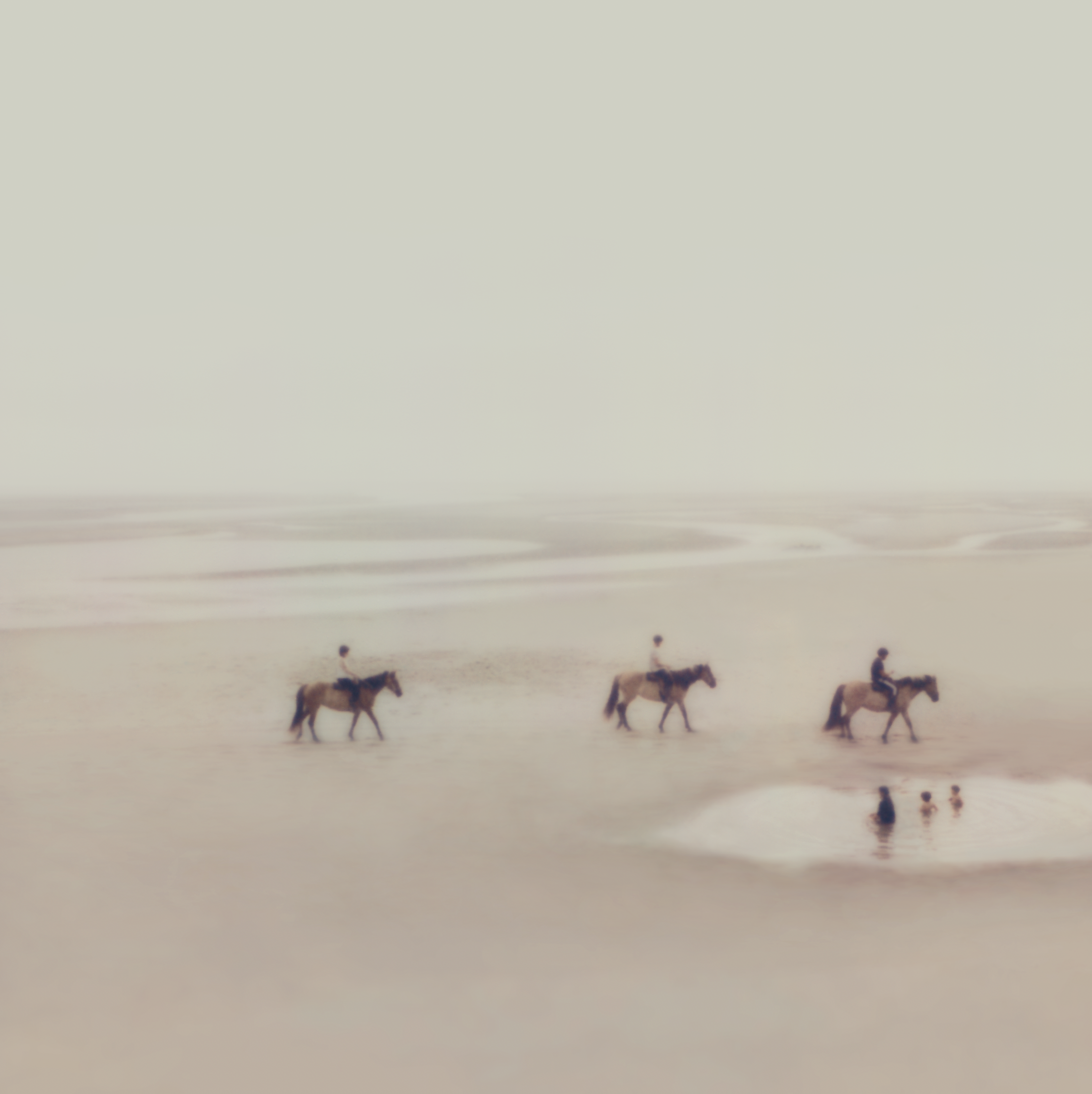 Paarden op het strand.png