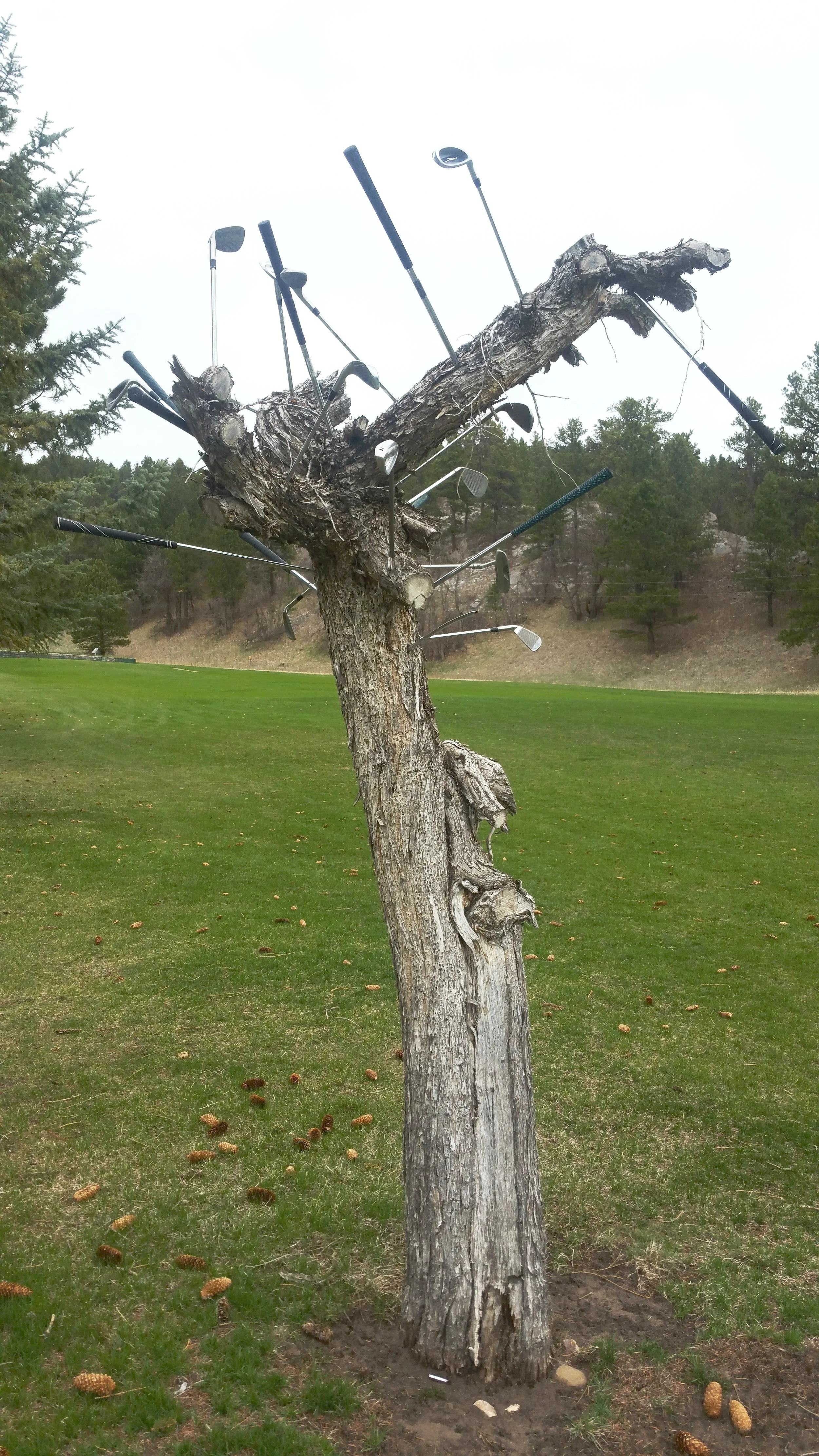 Interesting sculpture.