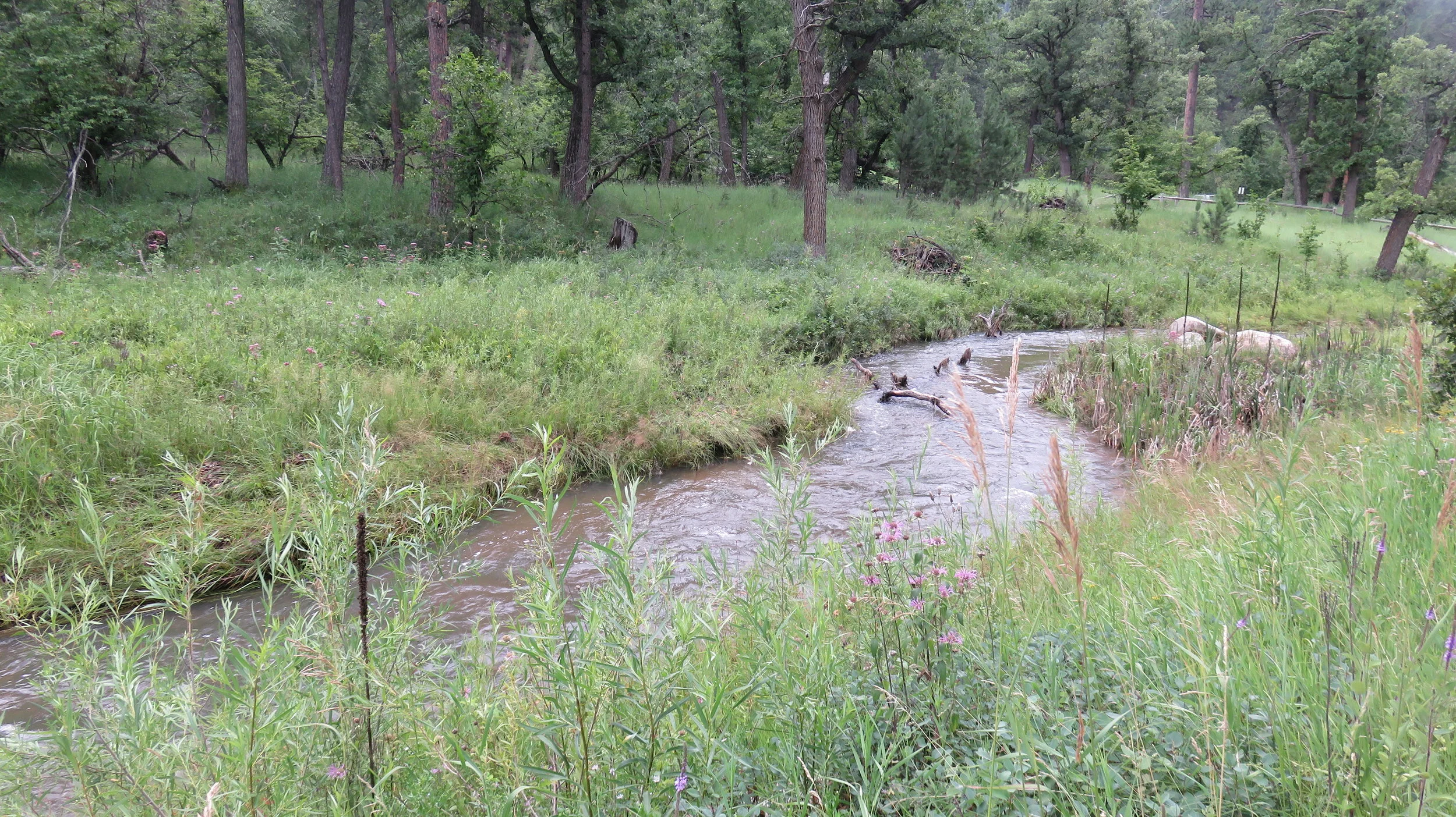 Lakota Lake — Black Hills Hiking, Biking, and More