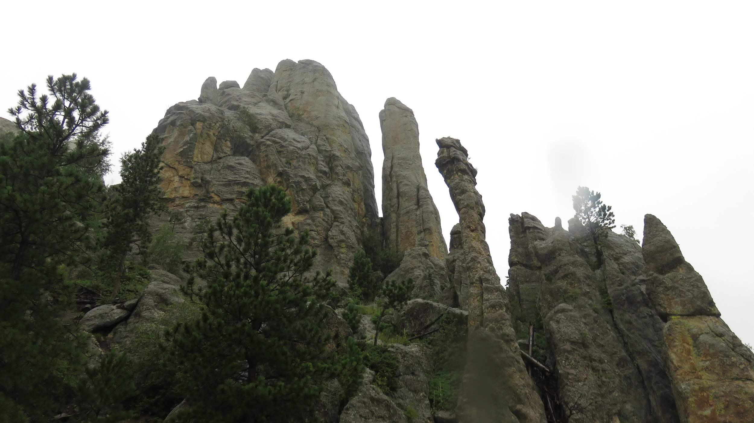 1 Day Tour of The Black Hills