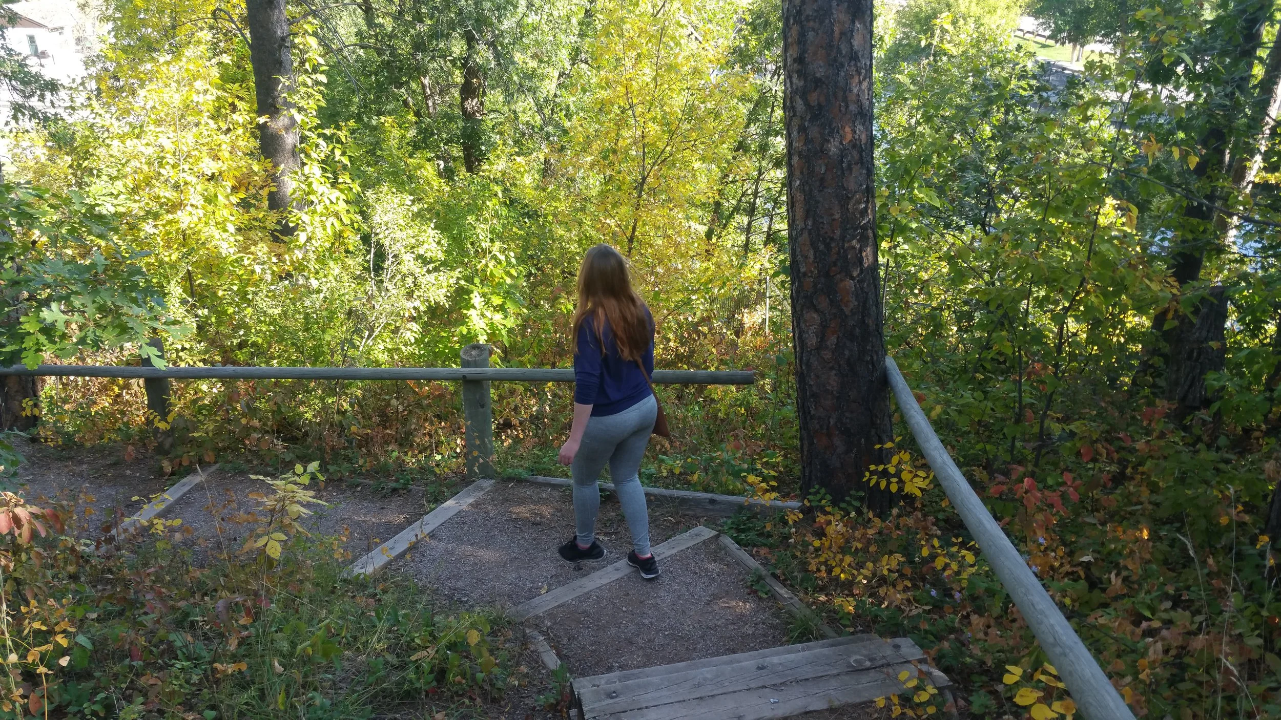20180912_093703.jpg