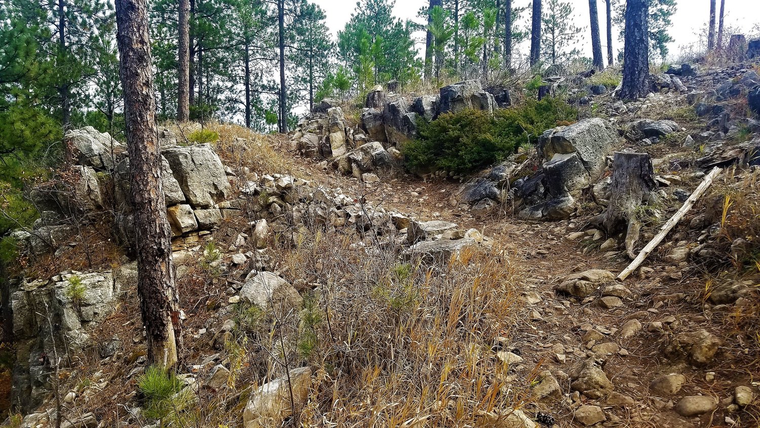 Buzzards Roost — Black Hills Hiking, Biking, and More