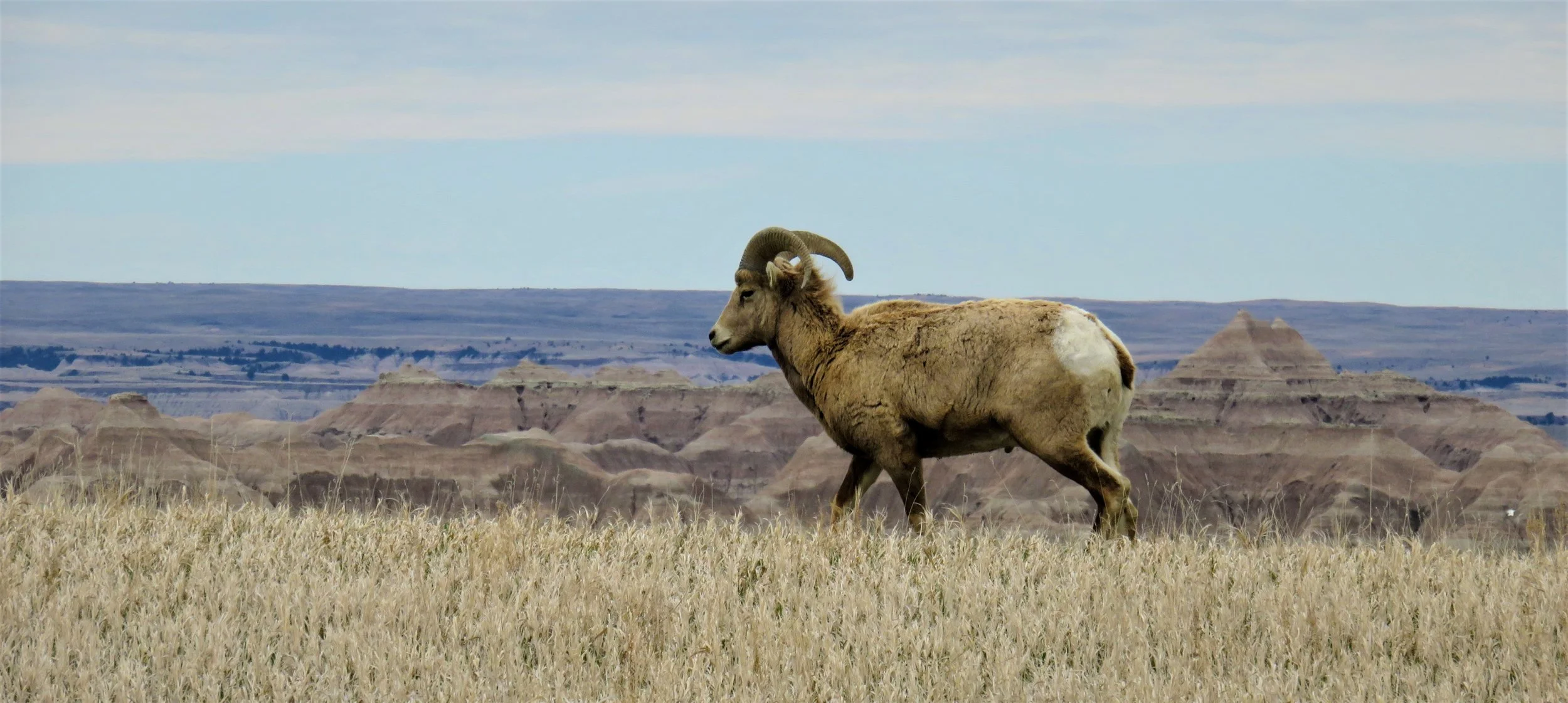What we love about Badlands National Park — Black Hills Hiking