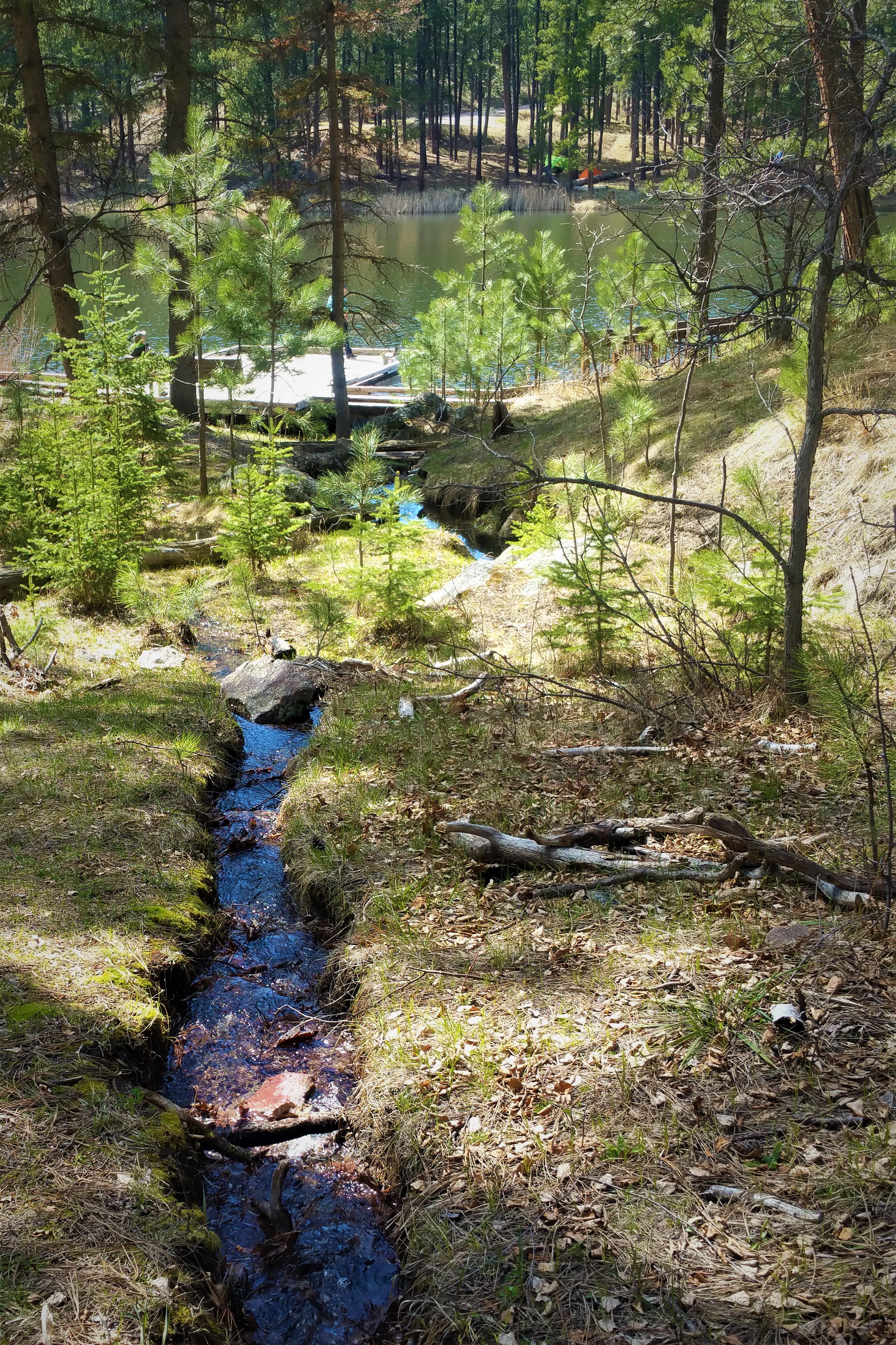 Pretty areas off the trail to explore
