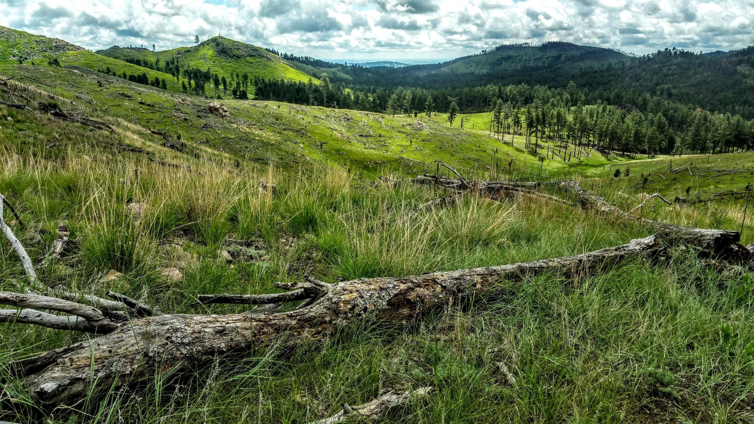 South Dakota - Centennial Trail