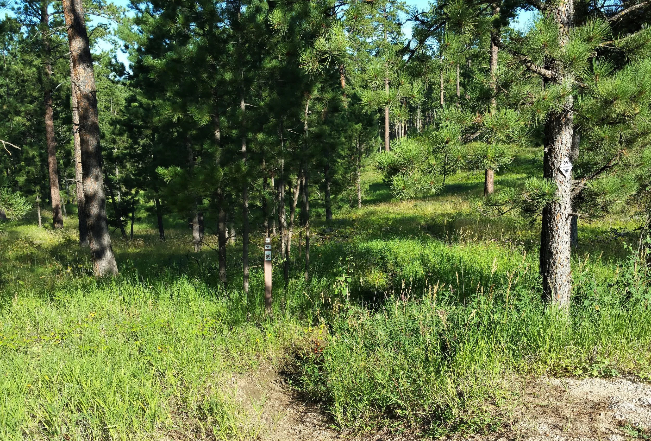 Cross the road to begin the hike.