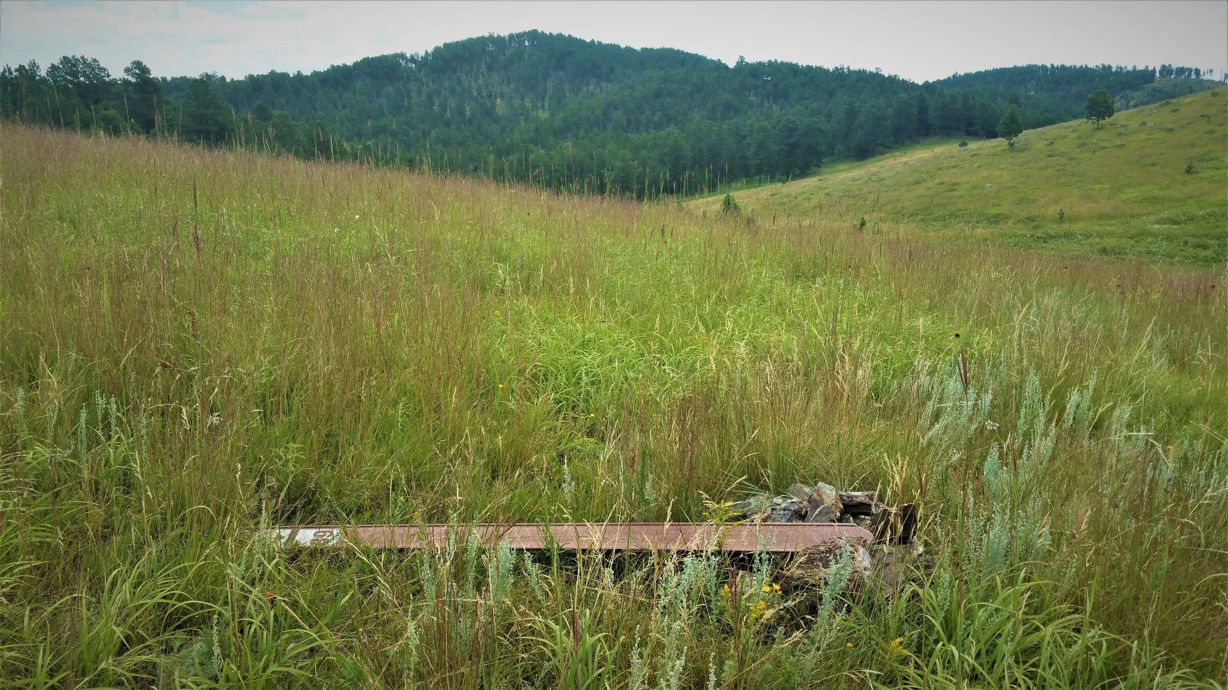 Markers occasionally knocked down by cows making it easy to loose your way.