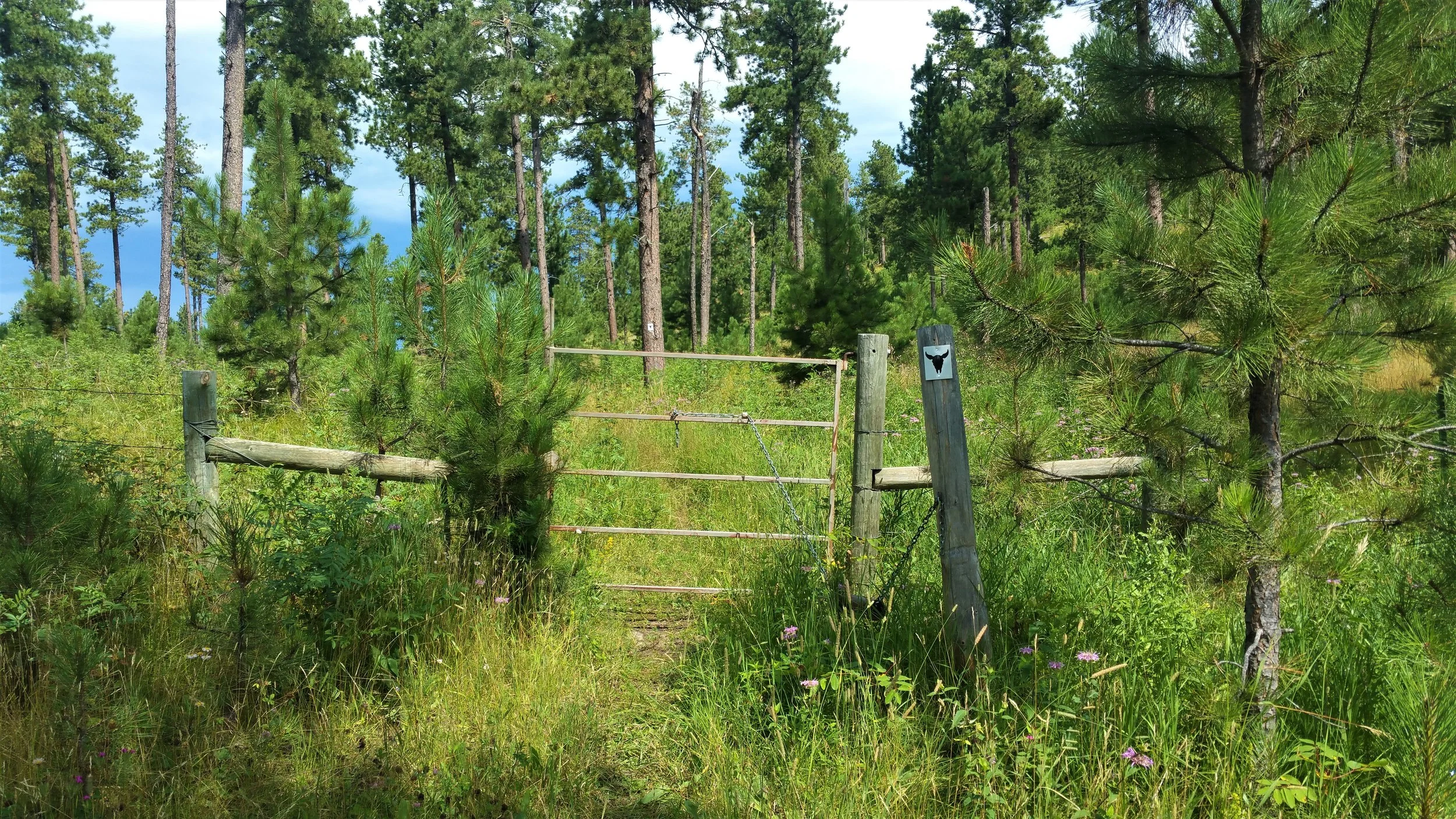 Another gate to go through.