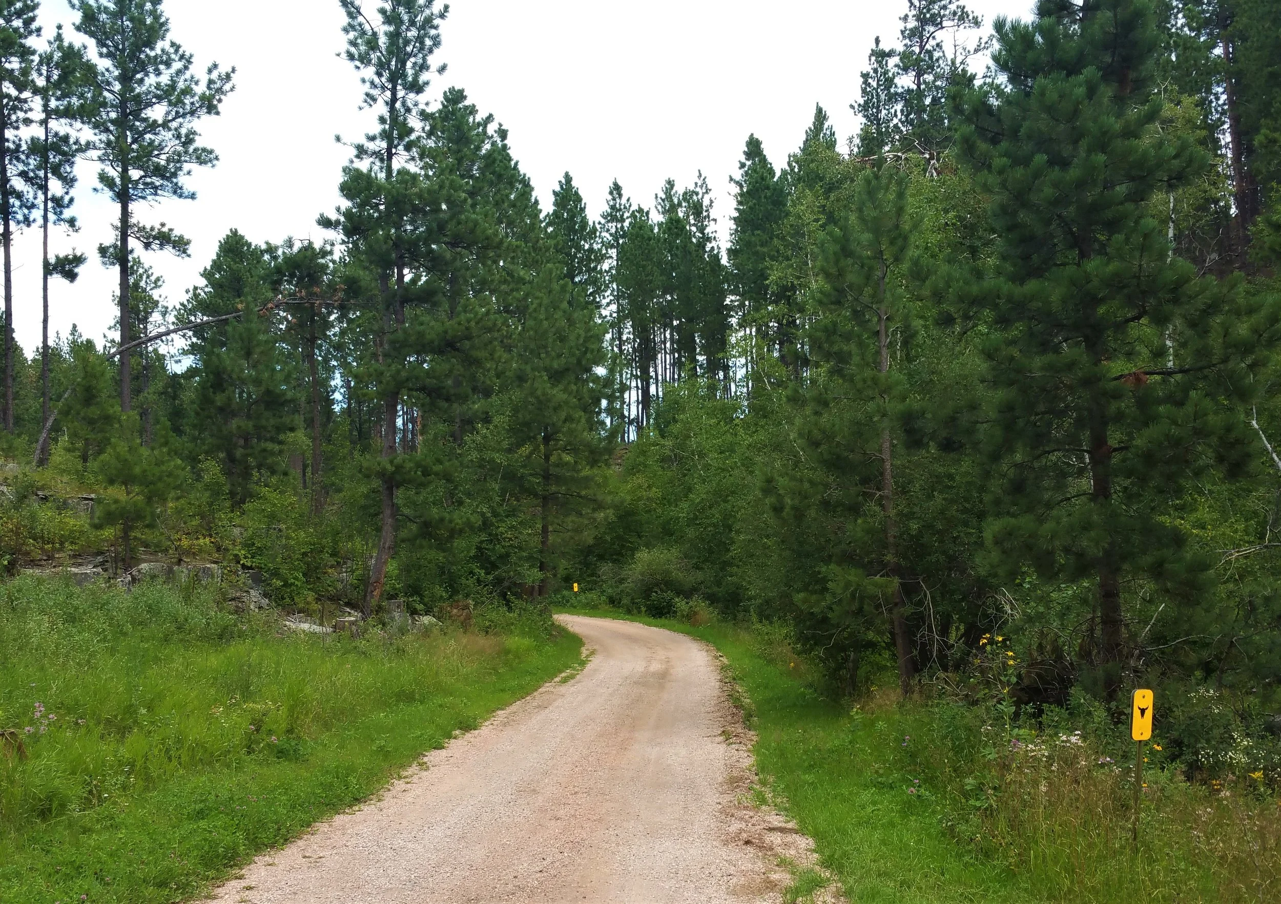 Walk the road for a bit.