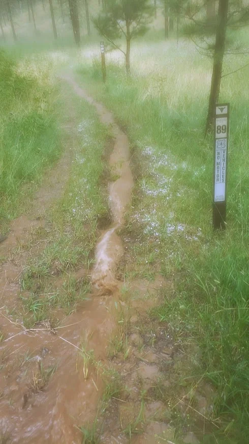 Everything went dark, wet, blurry, and foggy. Trails covered in water now.