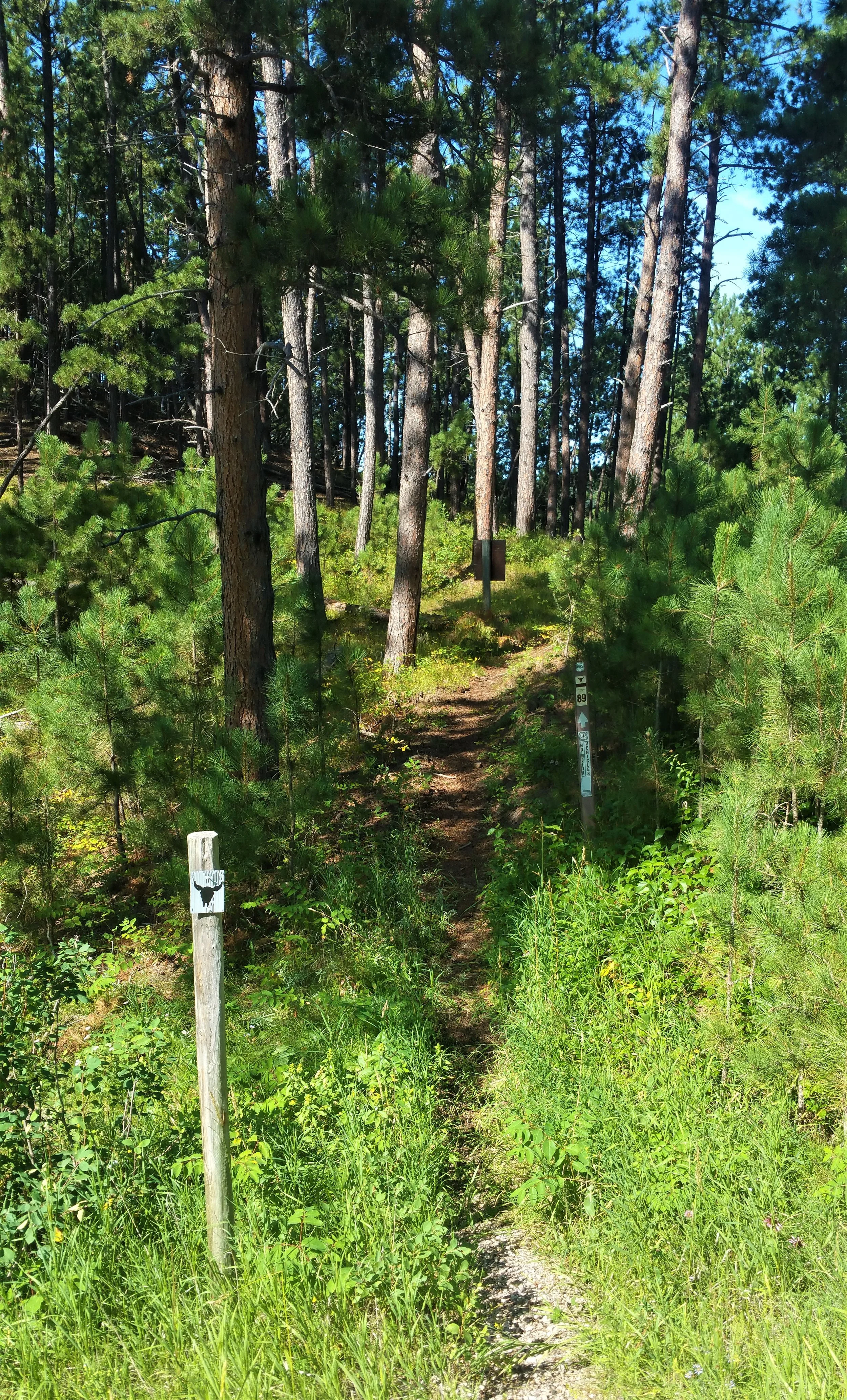 Some parts of the trail marked pretty good.