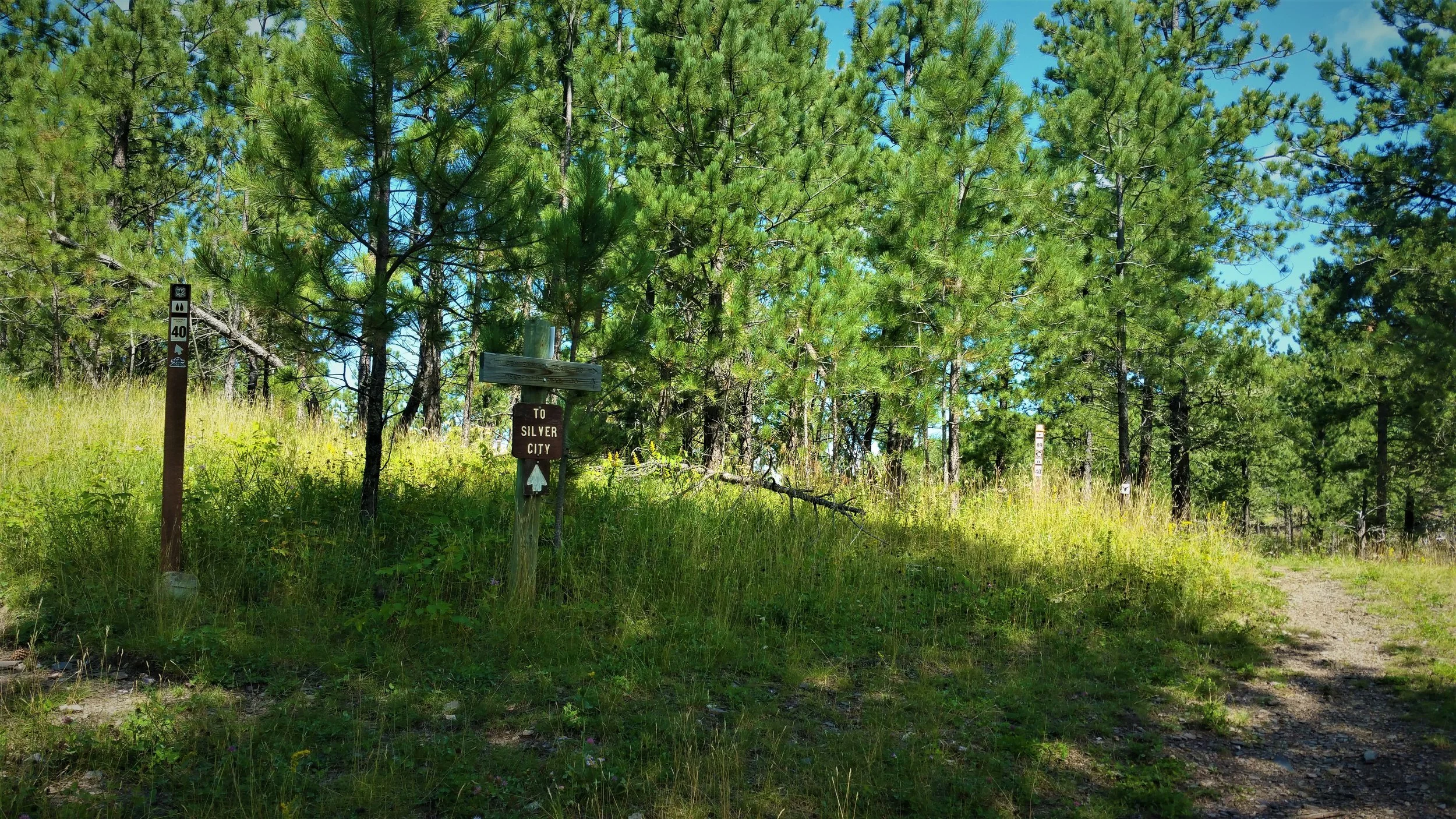 Breaks off here to Trail 40 to Silver City to the left and 89 - Centennial Trail to the right.
