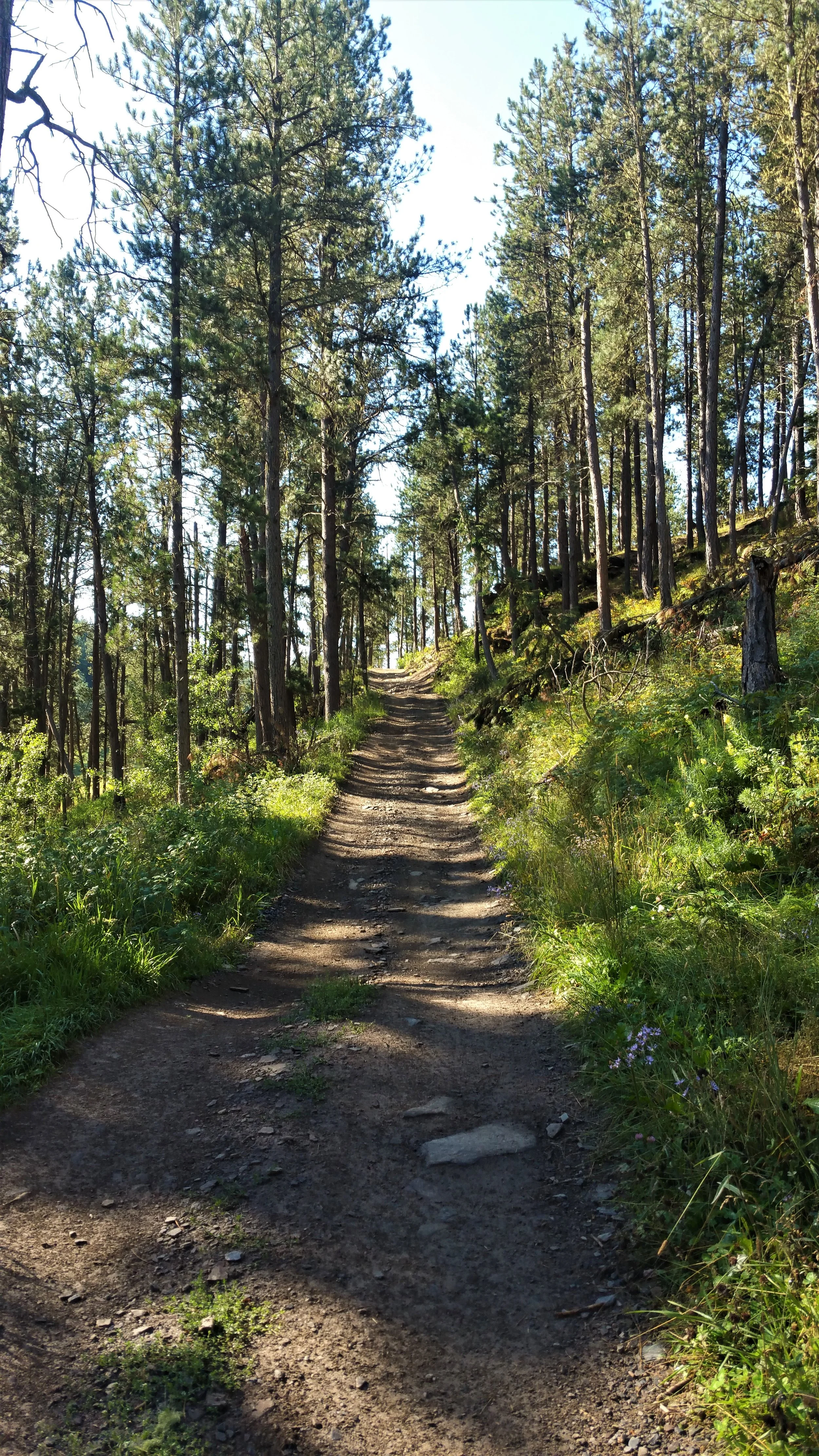Steep climb in the beginning of the trail.