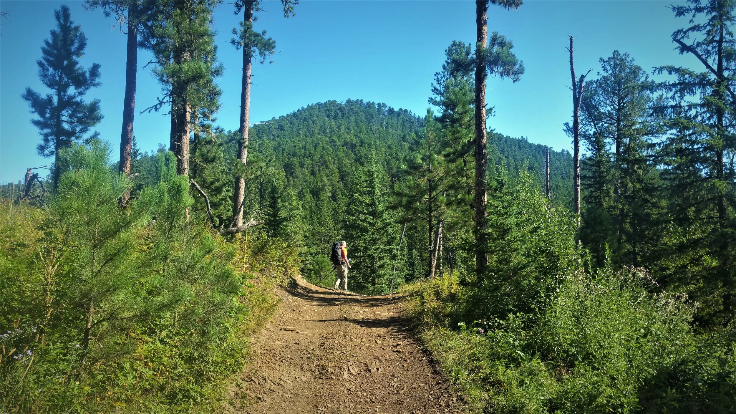 Prettiest view on the trail.