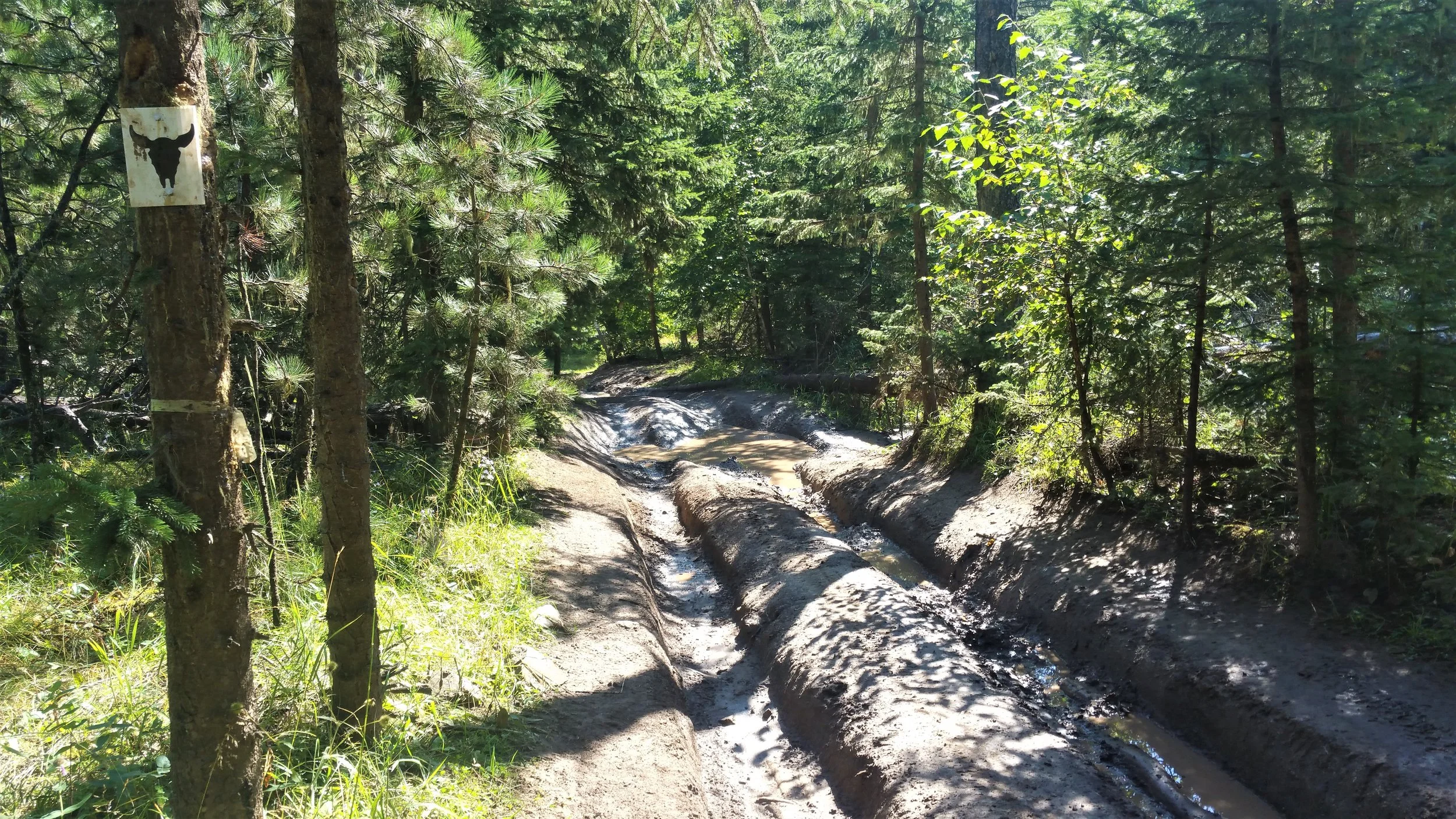 Not my ideal trail - Follows the atv trails the whole way - lots of mud and rocky sections.