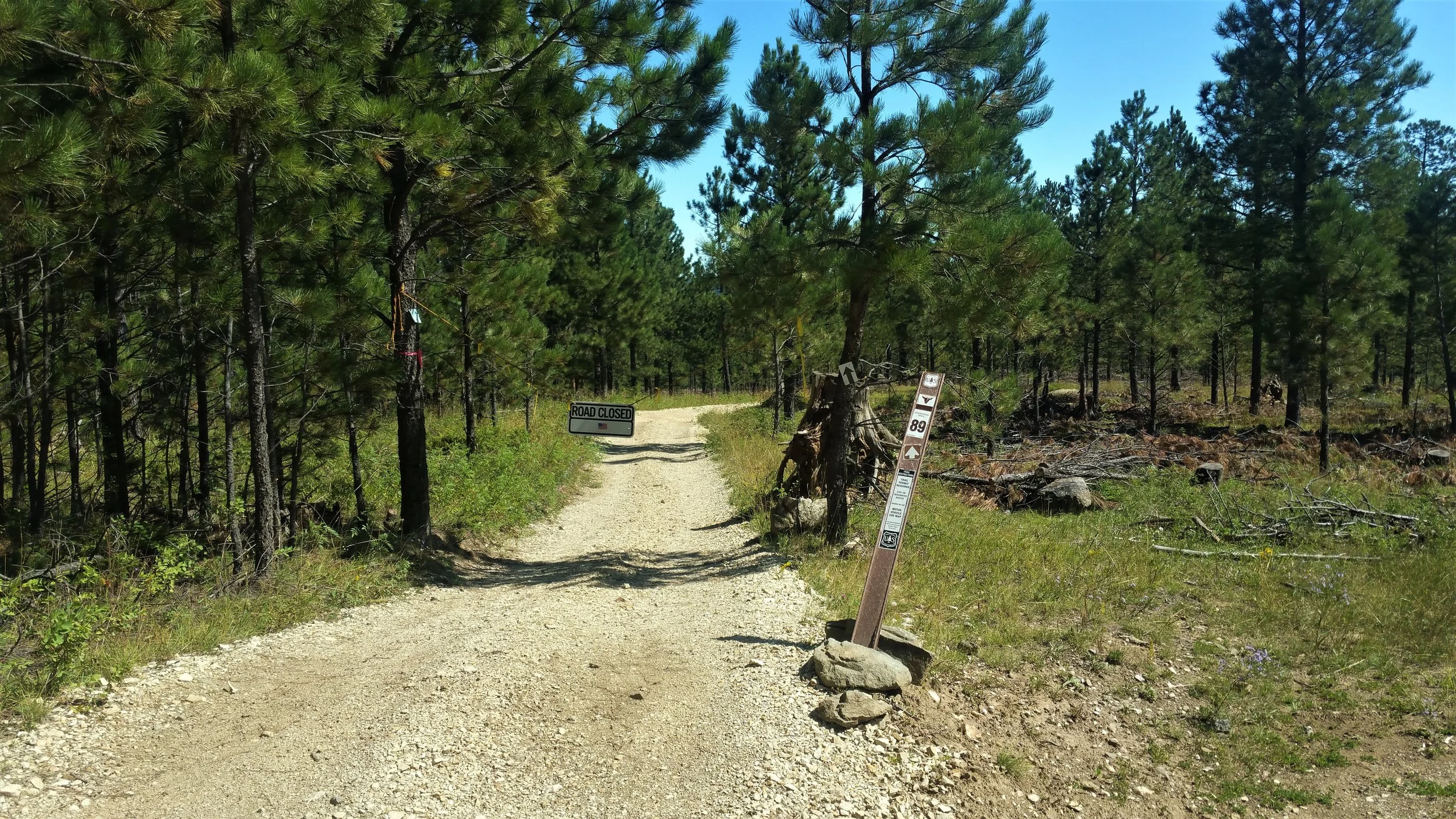 This section of the trail was closed to off road vehicles, so that was kind of nice.
