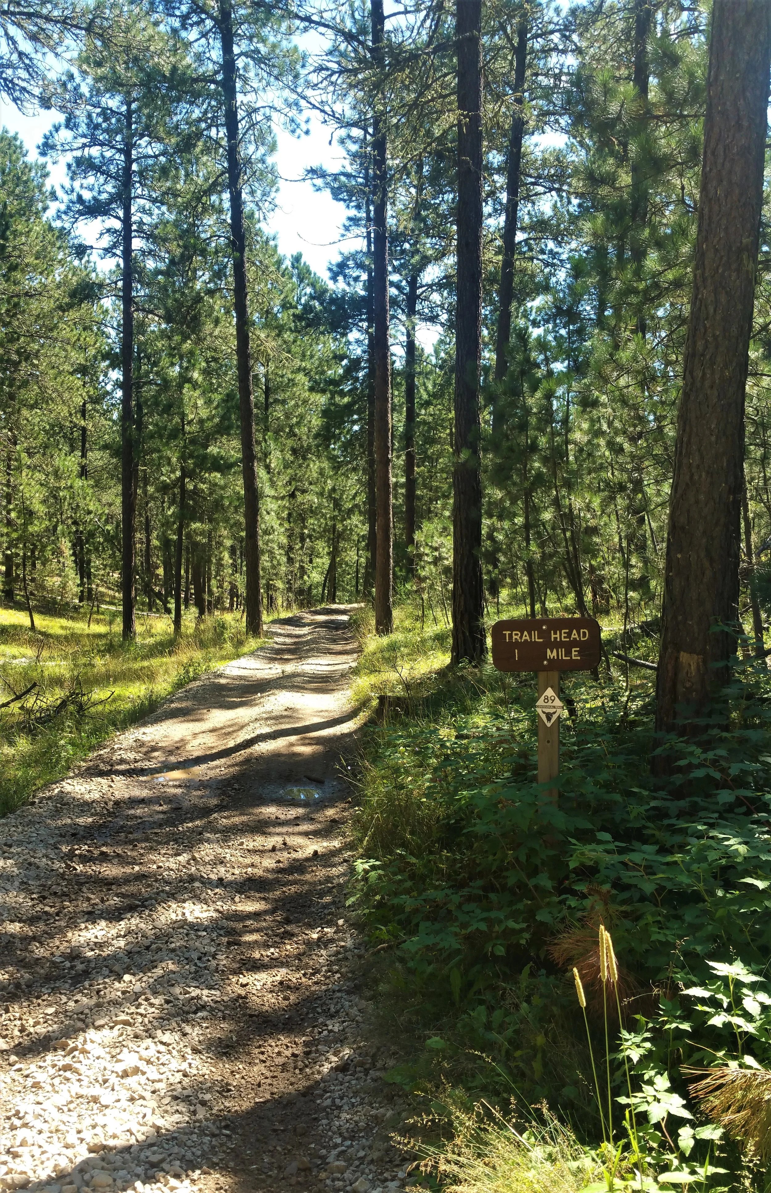 Sign - 1 mile to go - Yeah.