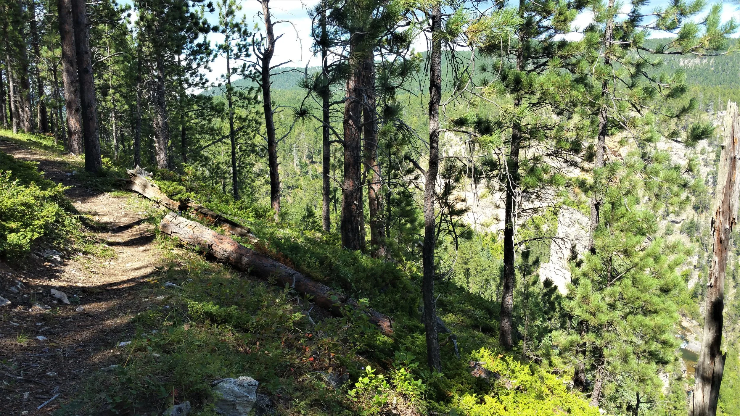 Another view of a valley on the north side of the trail.