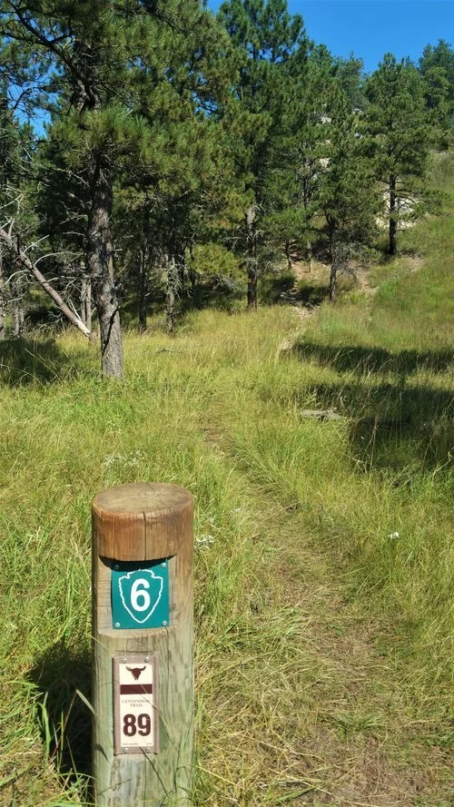 One of the different signs for Wind Cave National Park.