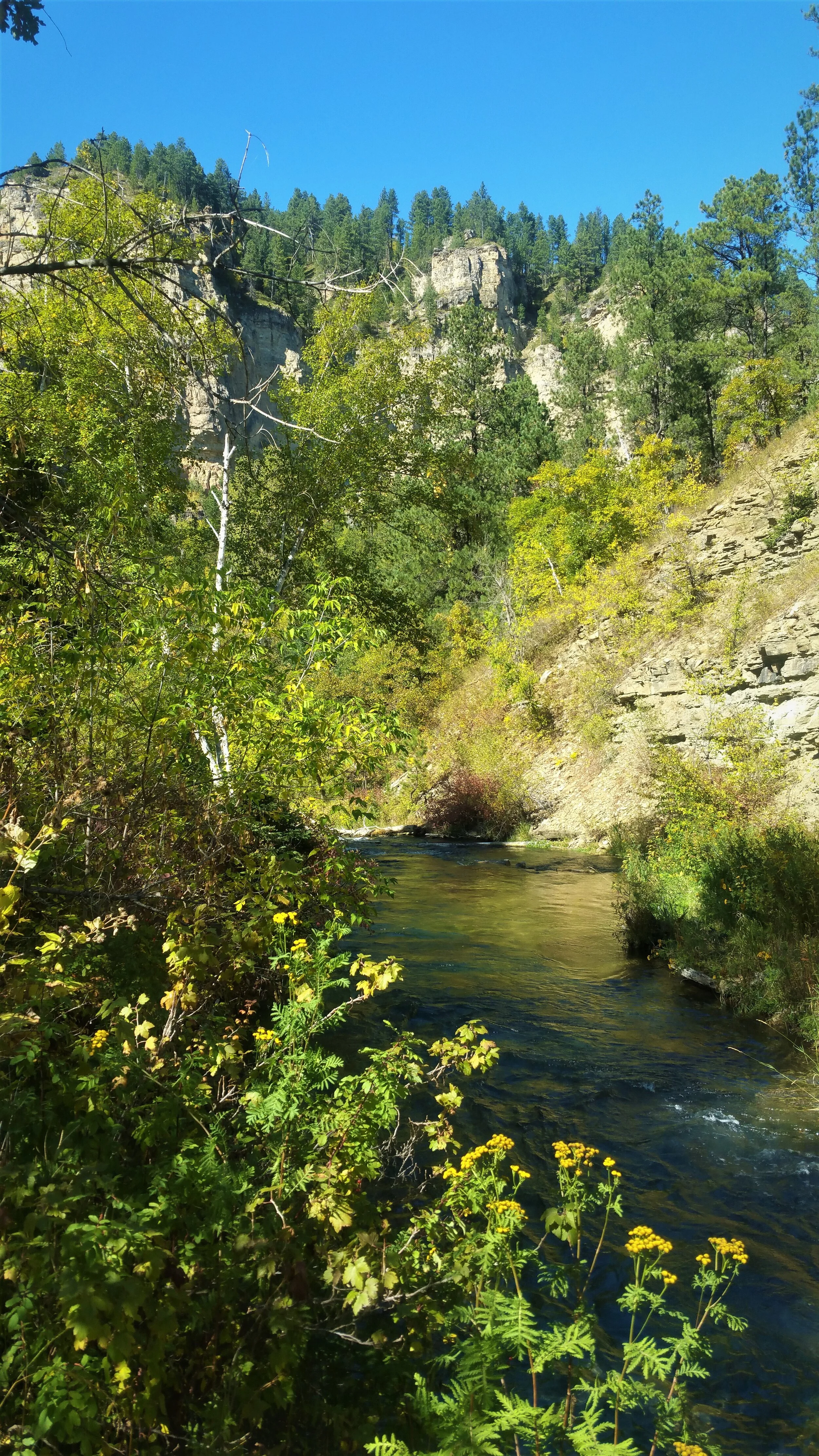 Right along Spearfish Creek.