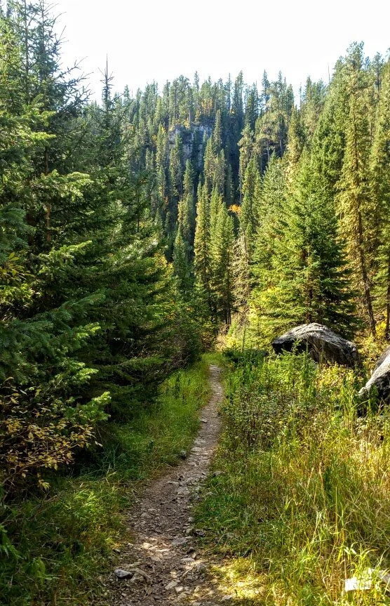 Trail gets smaller towards the end of the trail.