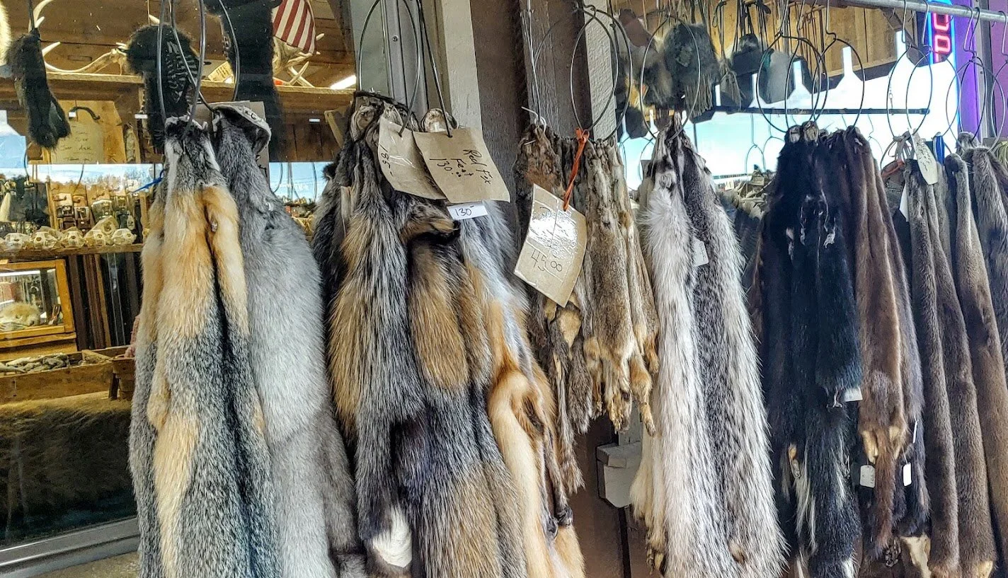 Interesting store.